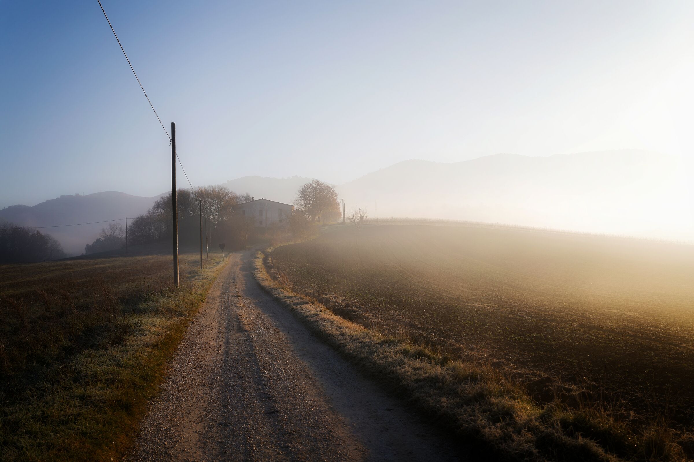 Autumn Morning