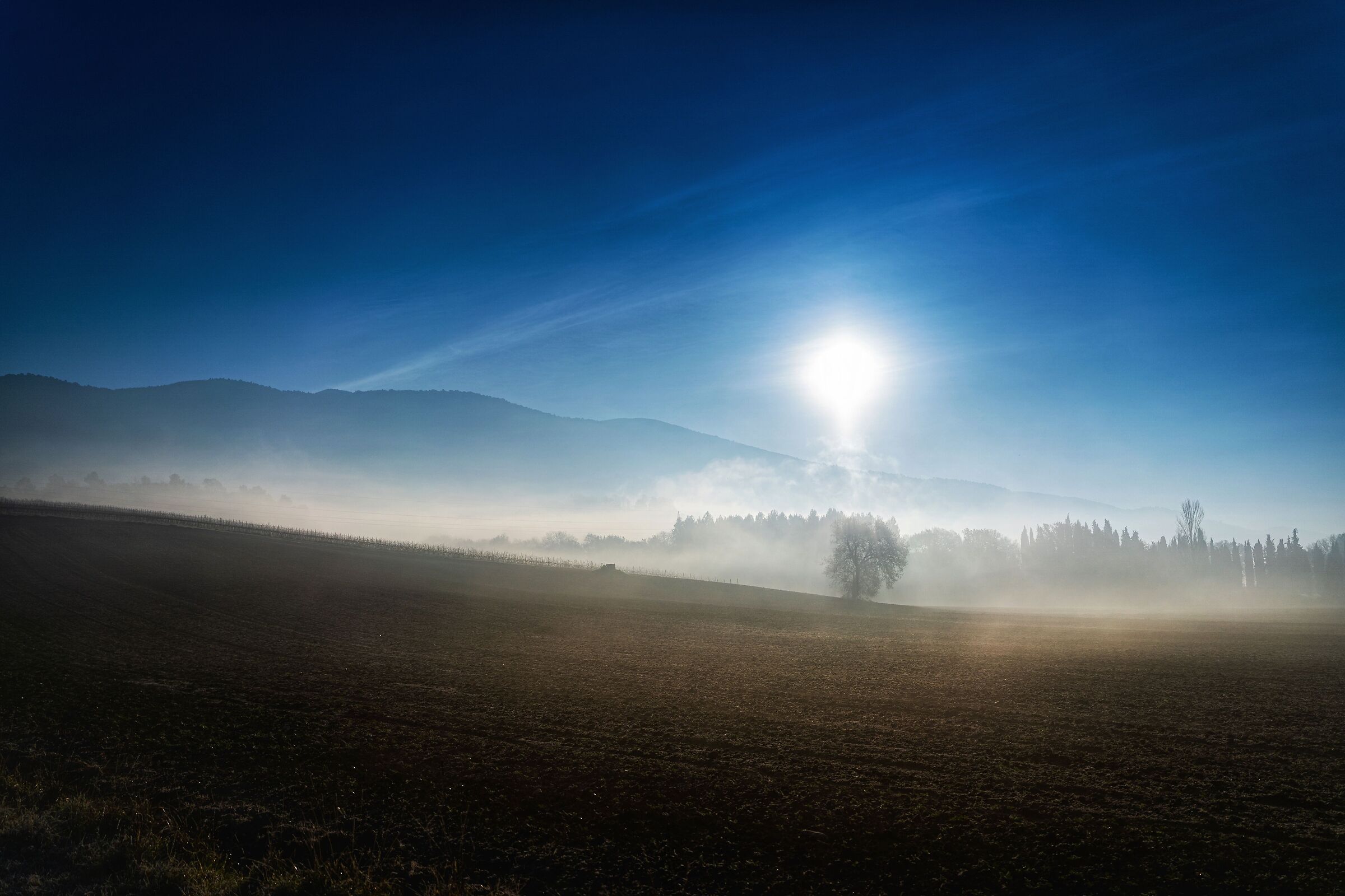 Autumn Morning 2