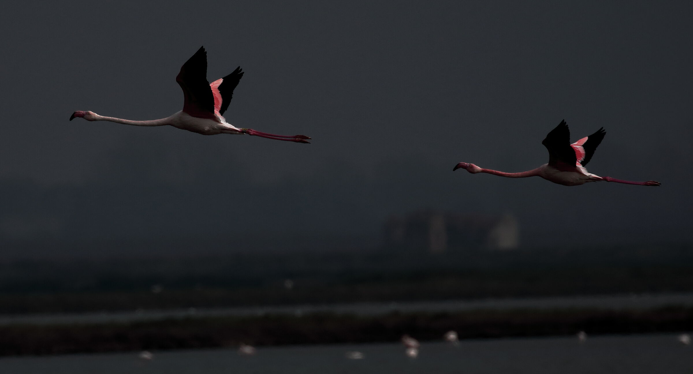 ...trasferimento serale...