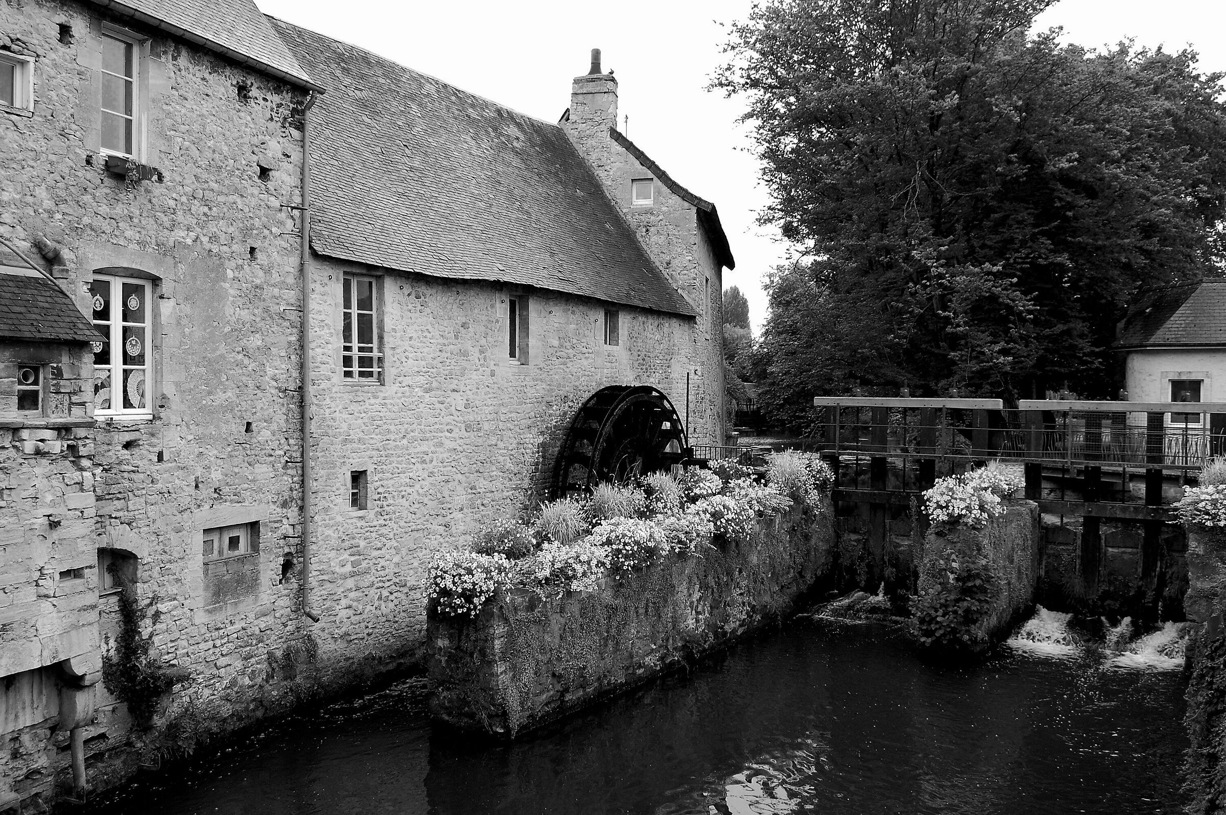 The Rest of the Old Mill