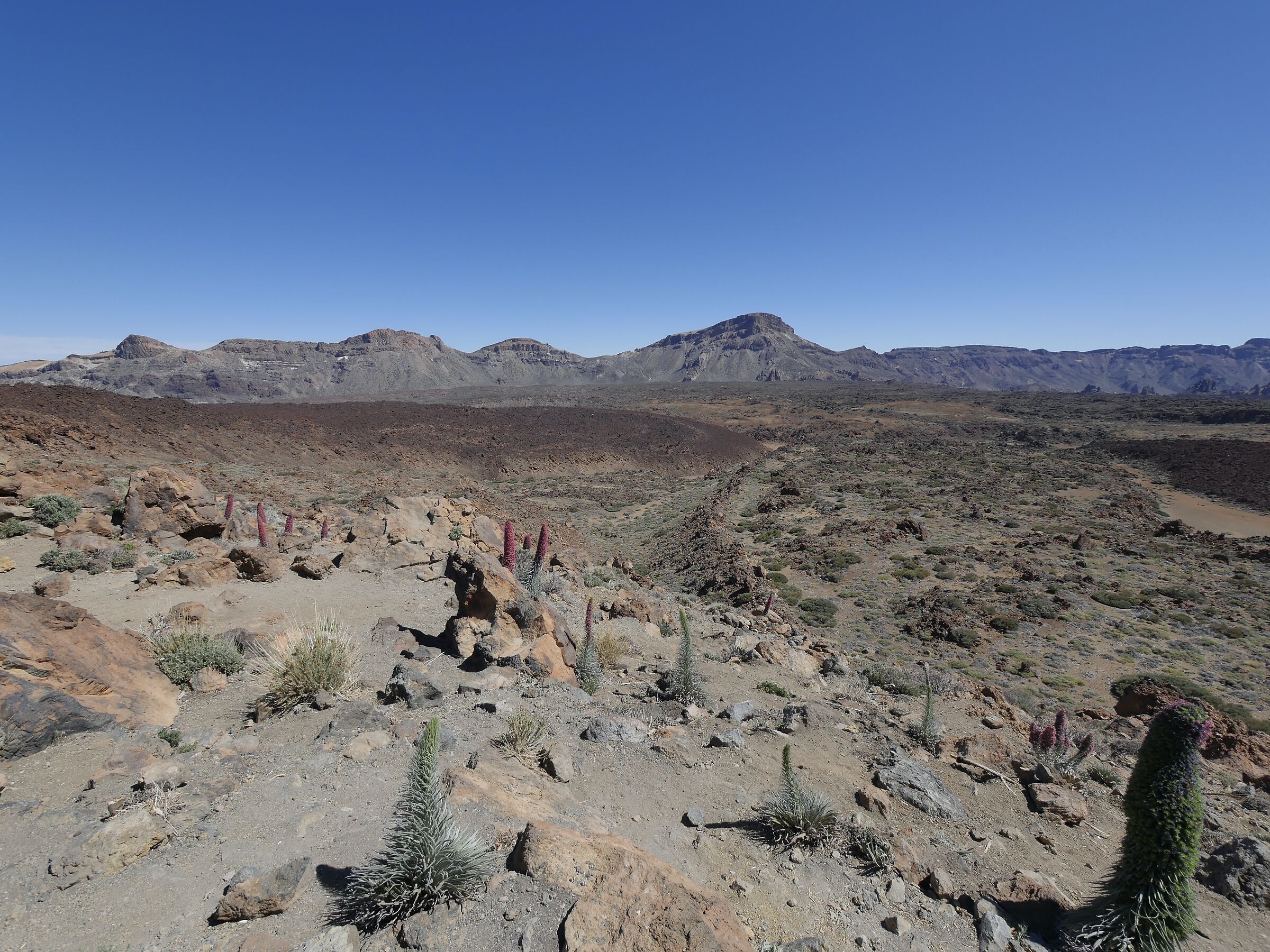 Tenerife, la zona del Teide