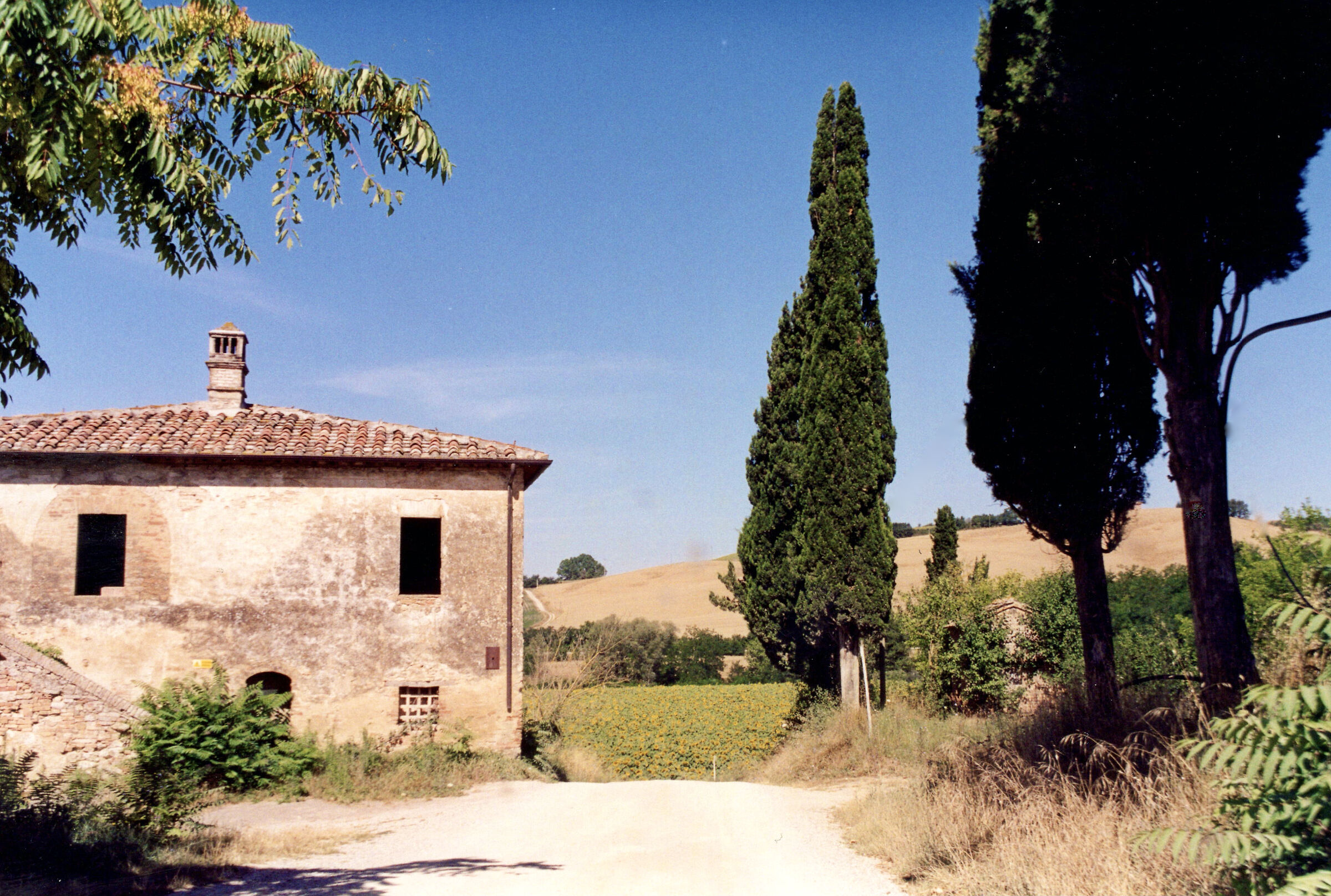 Lucignano d'Asso - Wikipedia