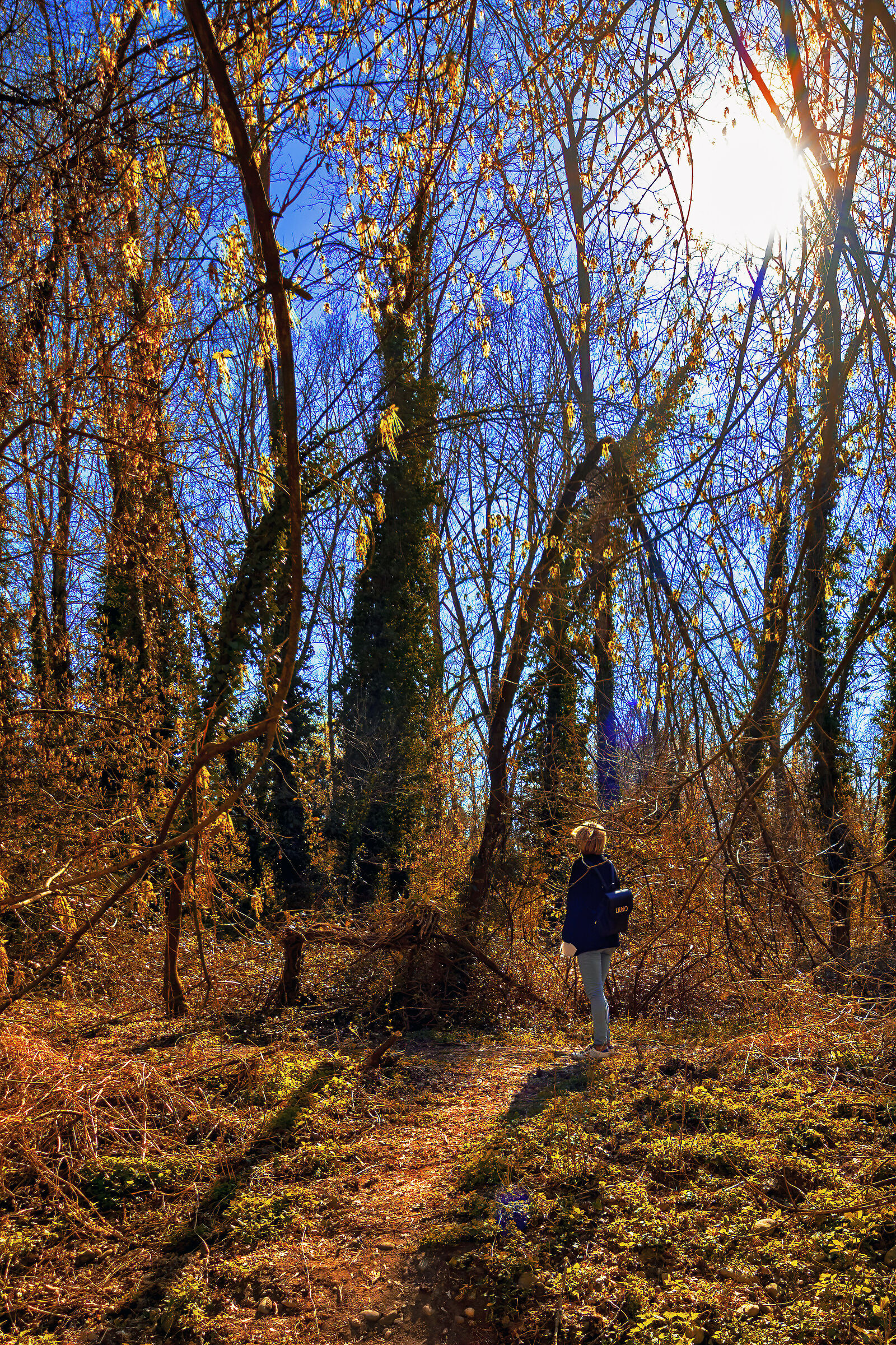 ancora tu ma non dovevamo vederci più?