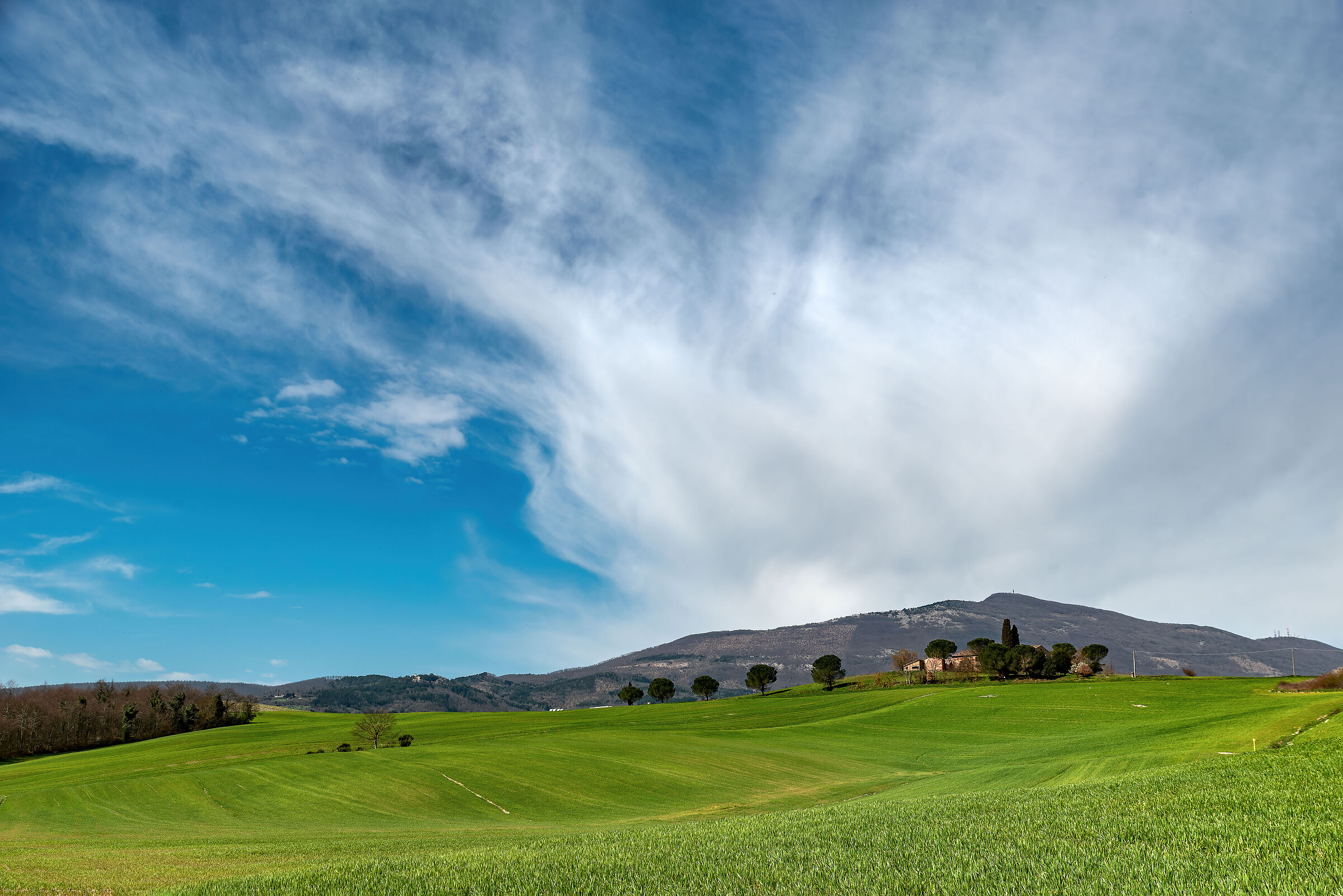 valdichiana meridionale