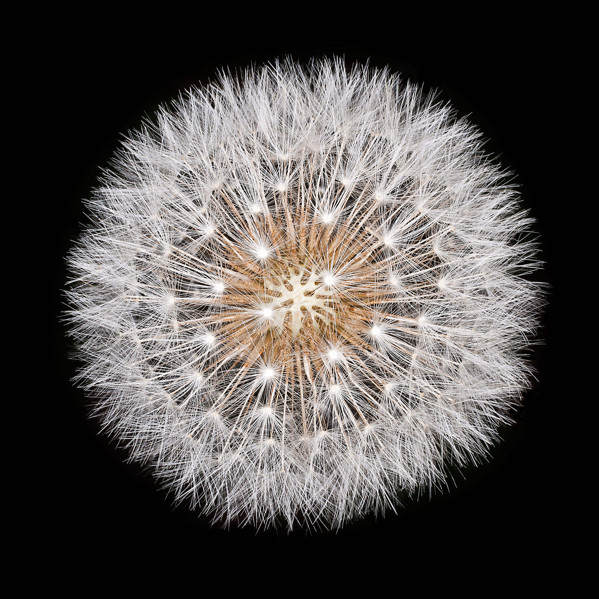 .....fffffffff......