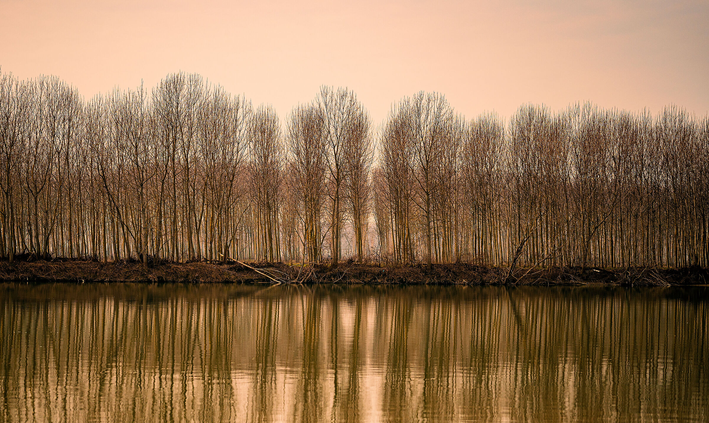 Paesaggio del grande fiume....