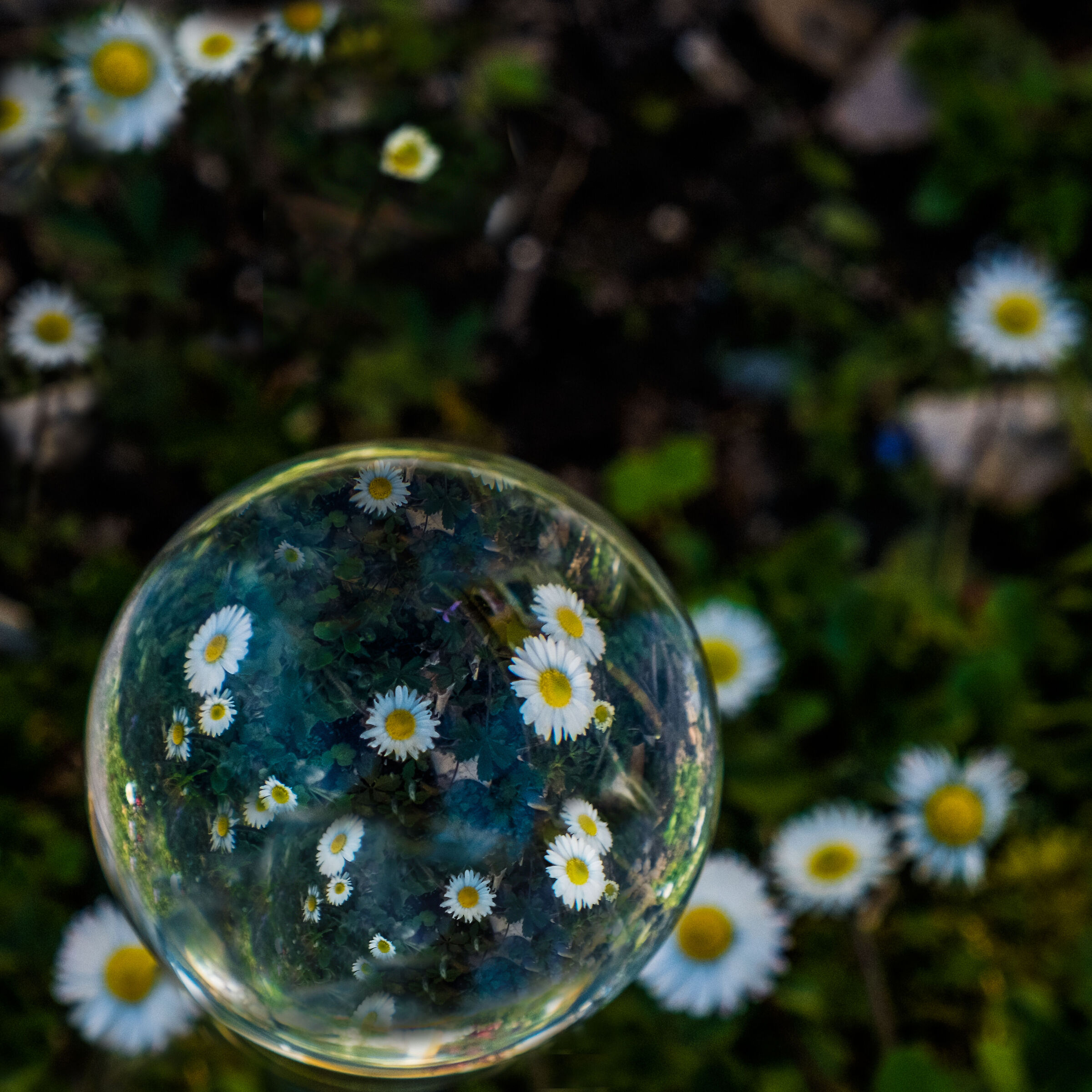 __bubblepassion__(2)