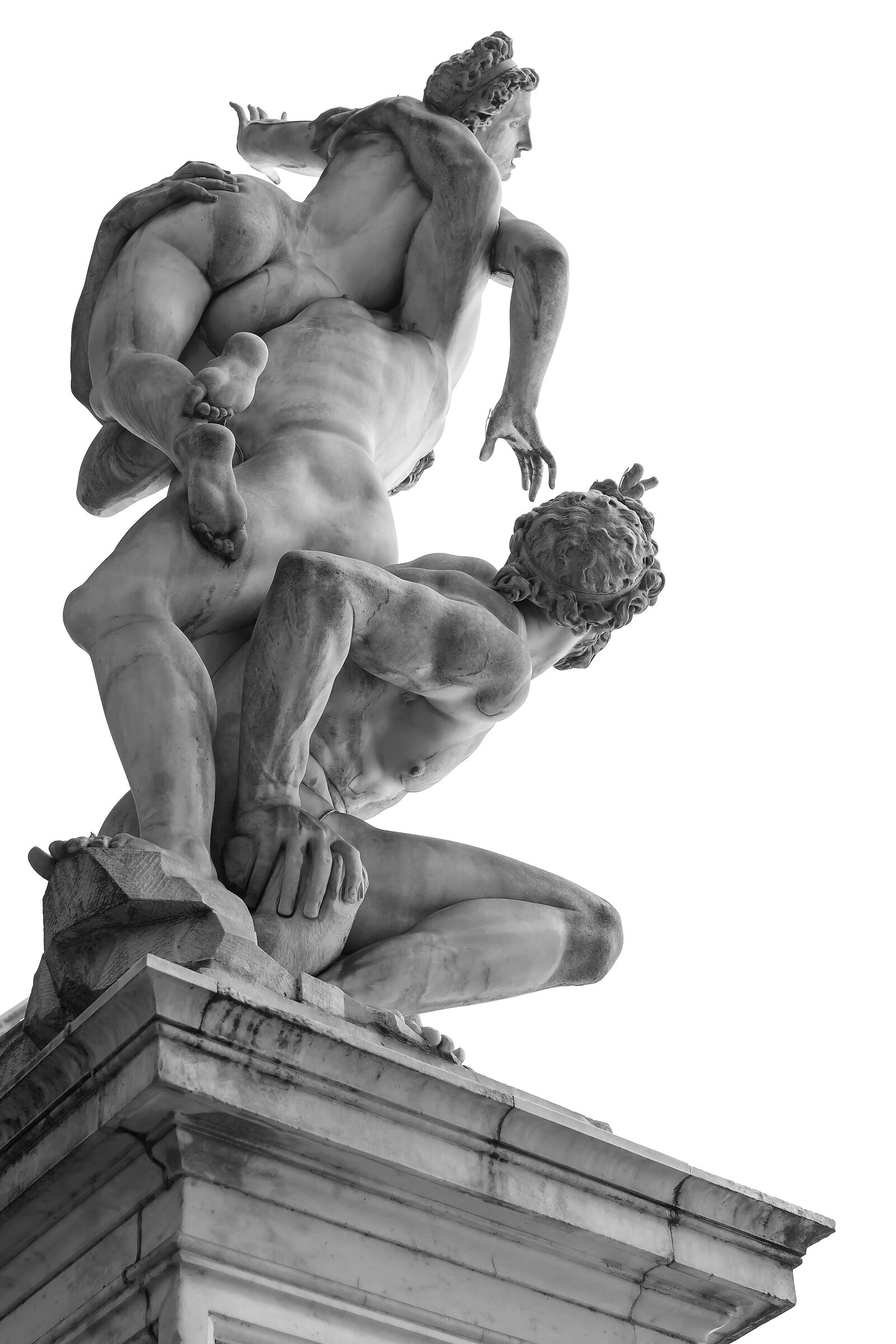 Ratto...un'altra prospettiva