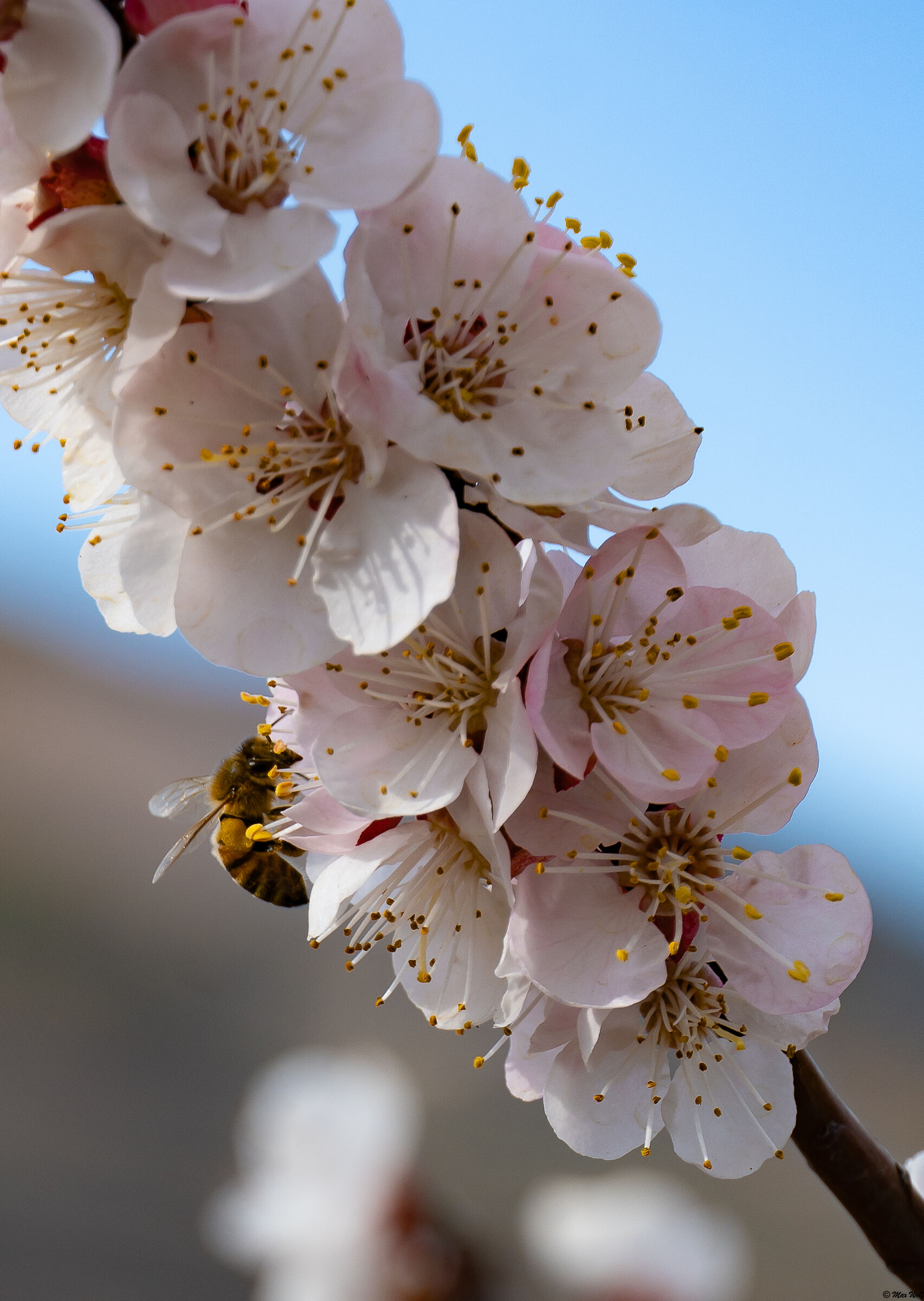 Supply season begins