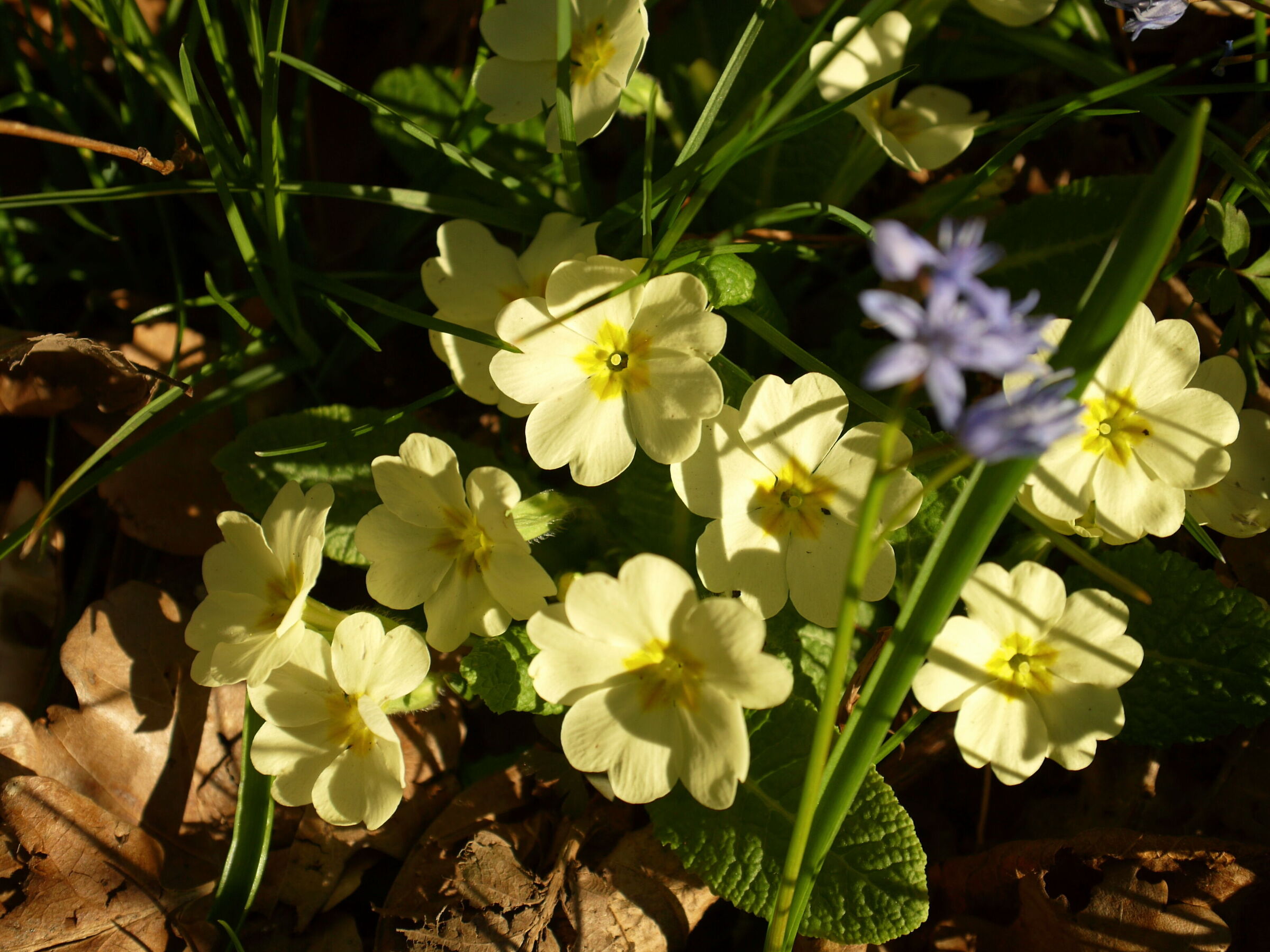 sotto all' ultimo raggio di sole..