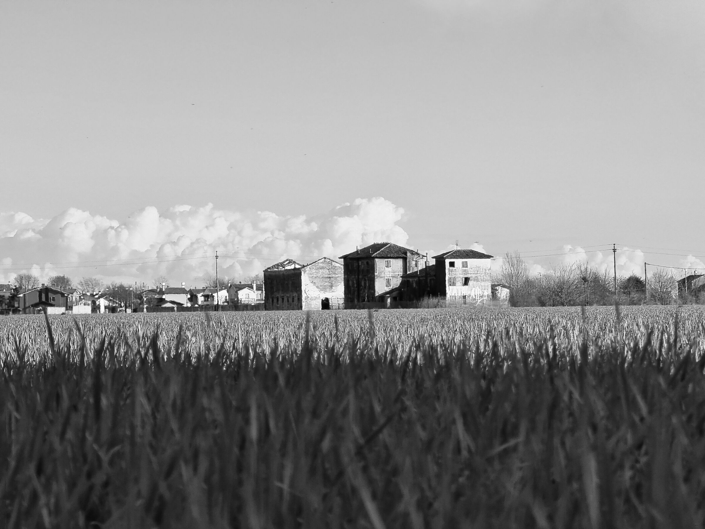Primavera