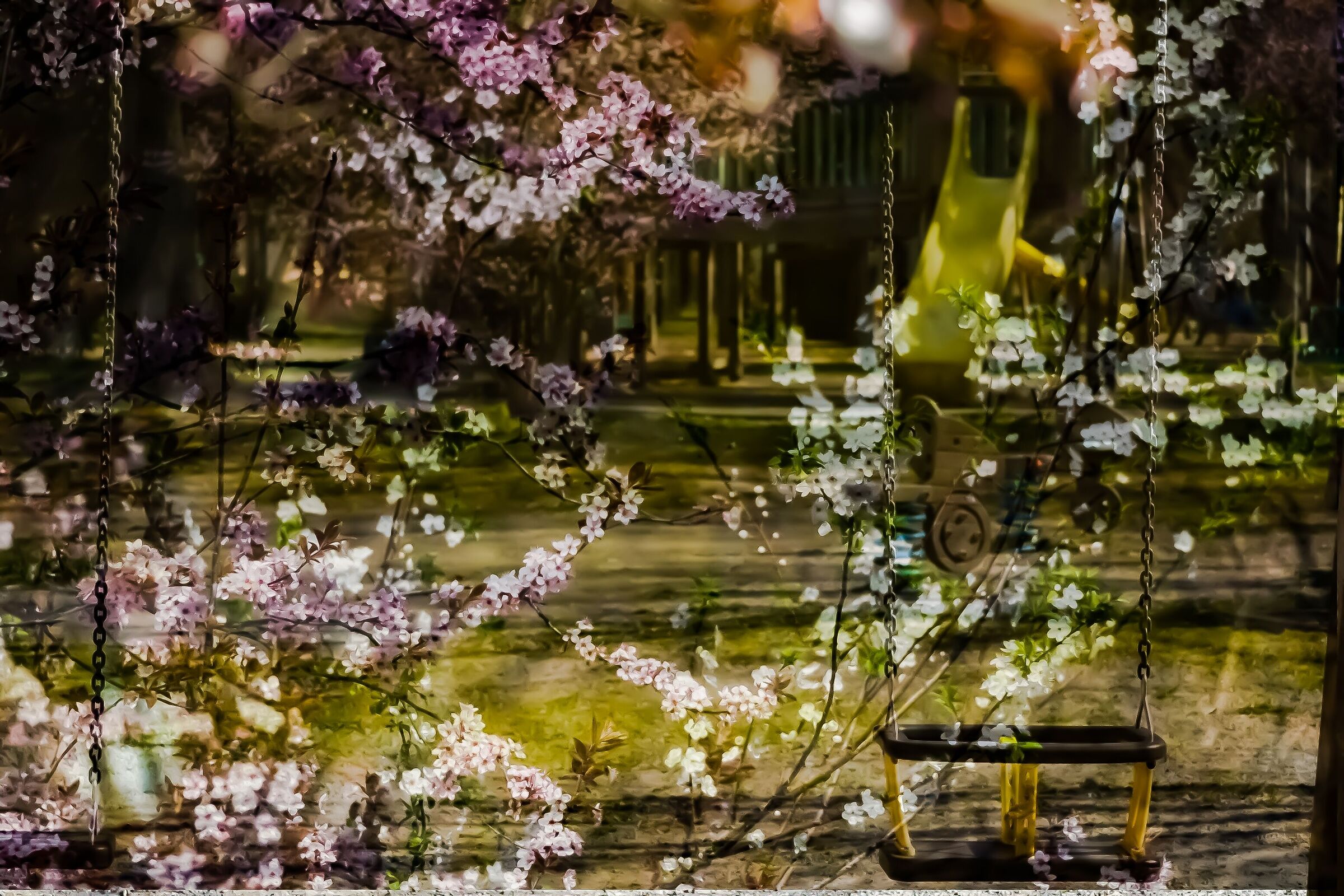 Primavera e altalene