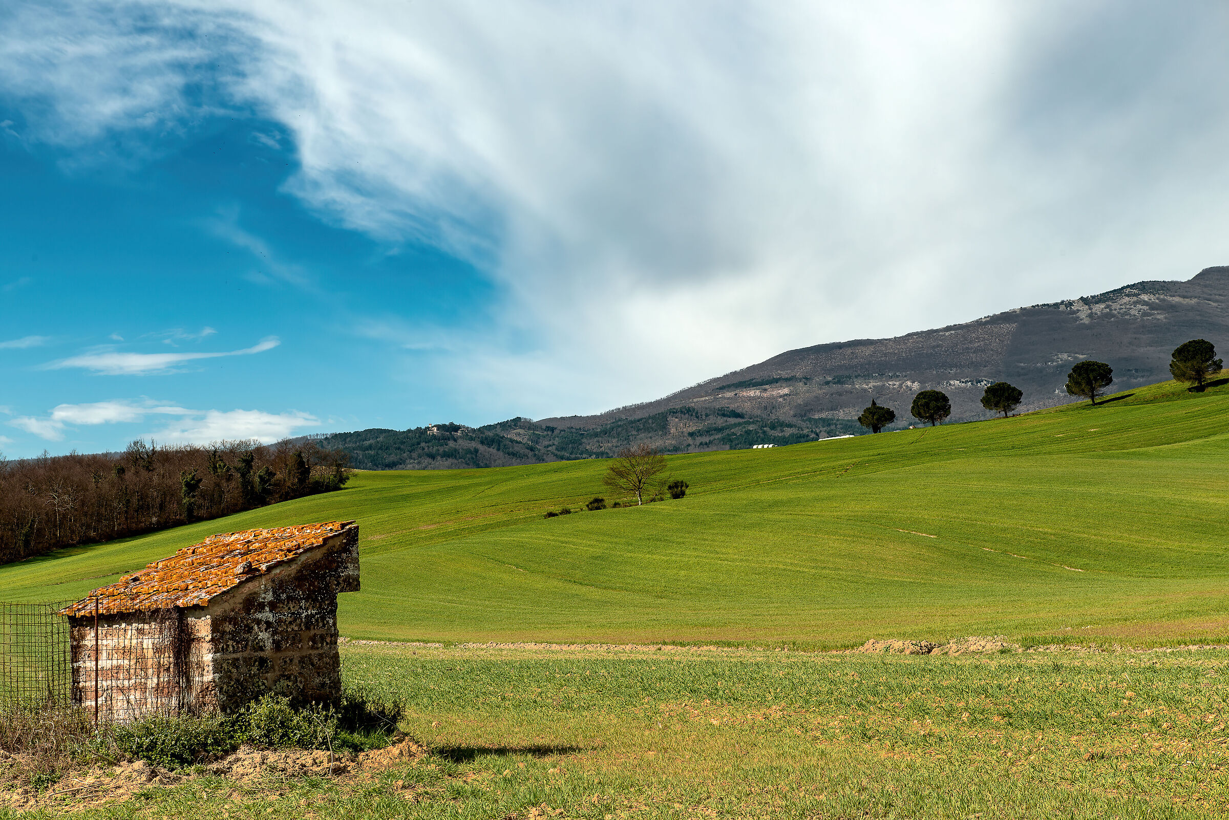 valdichiana meridionale,su sfondo monte cetona