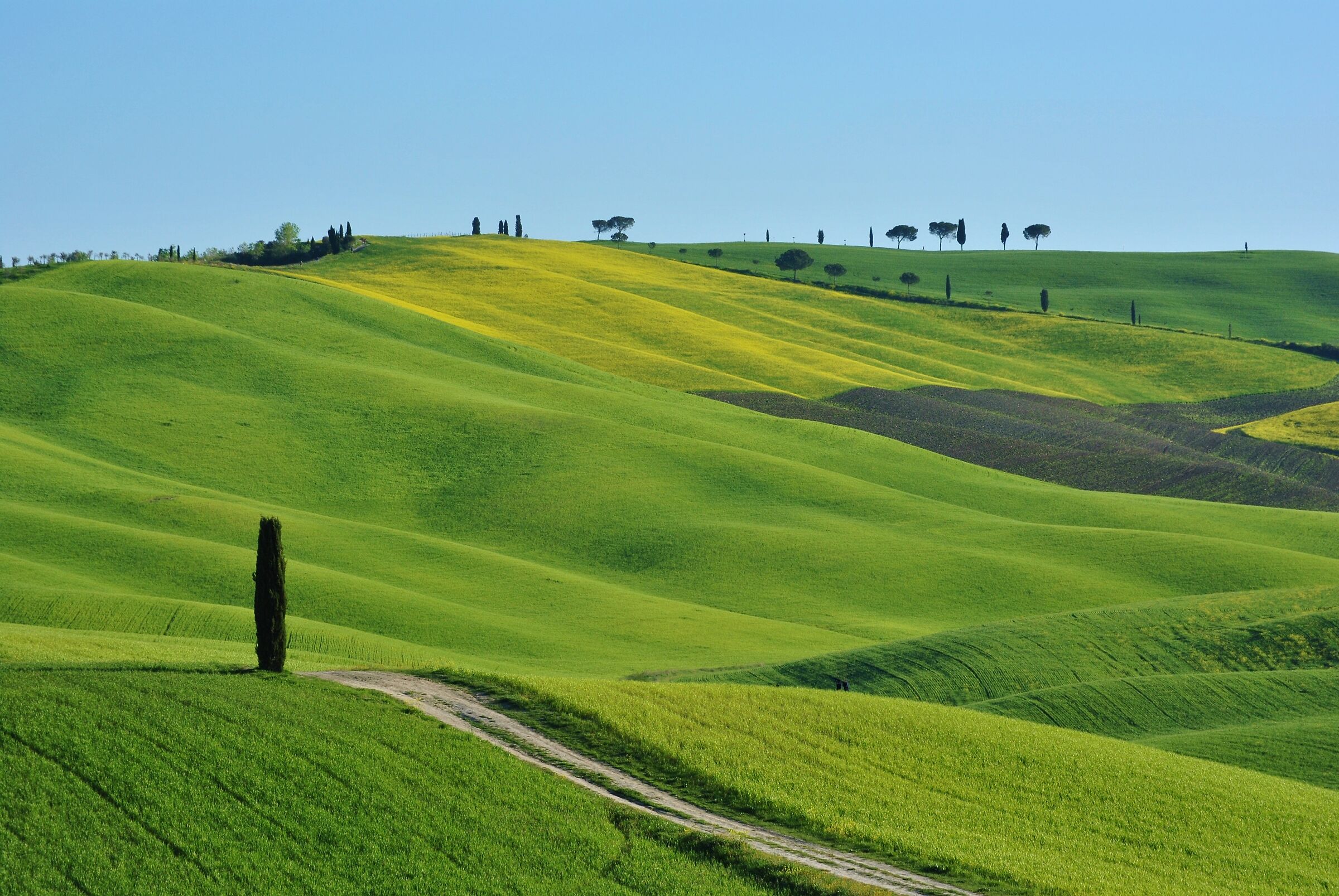 green val d'orcia