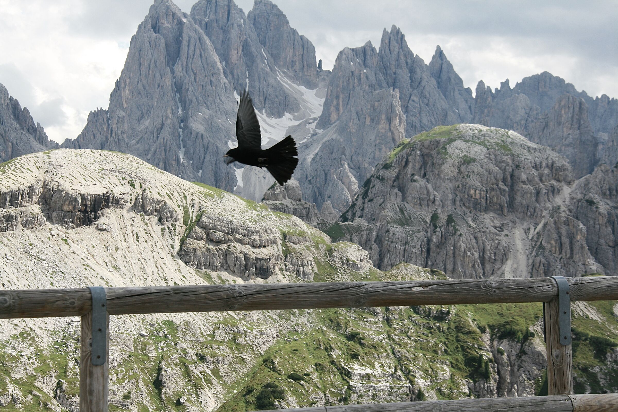 Dolomites - the Sassolungo
