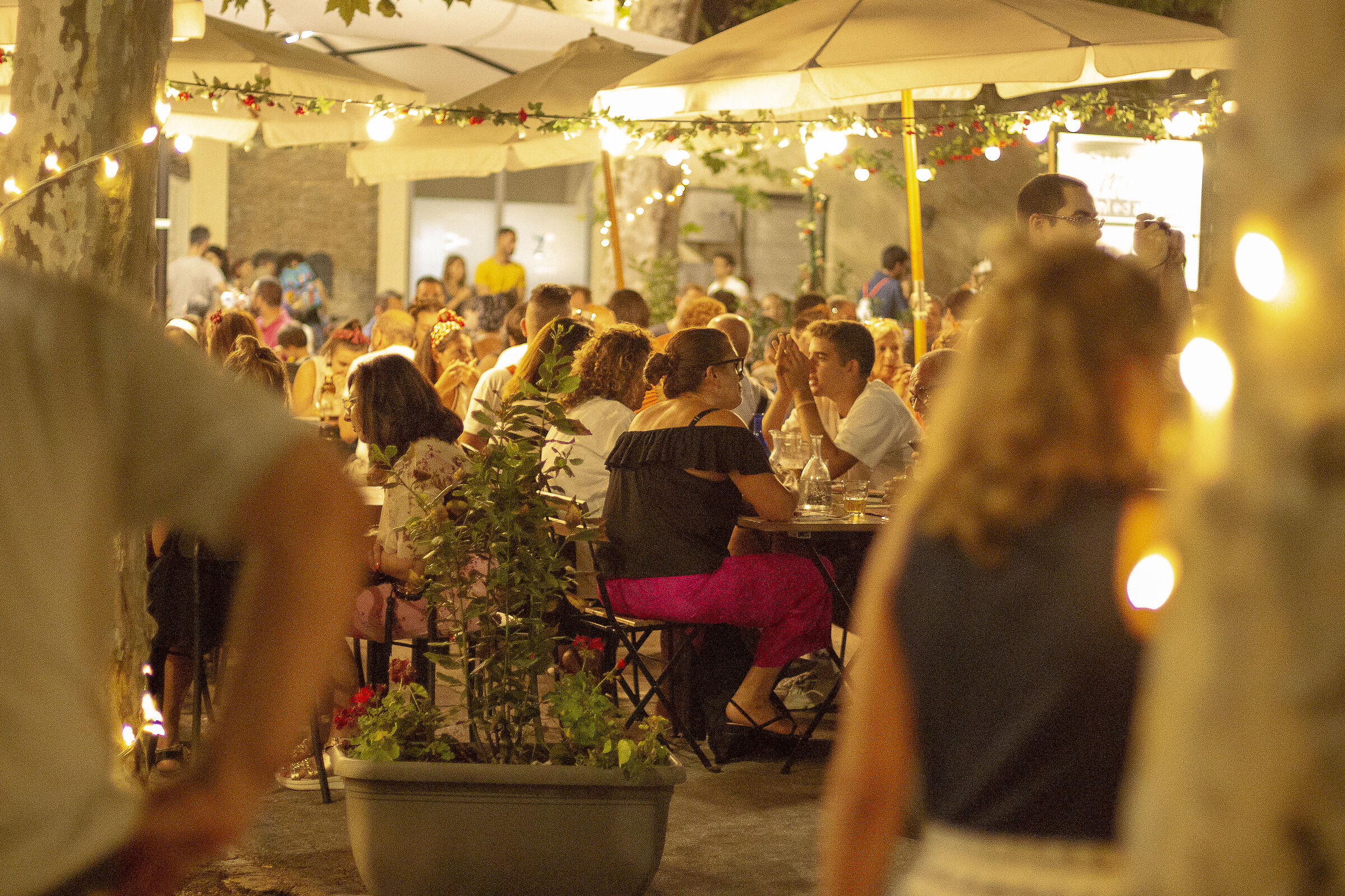 Summer Jamboree 2019