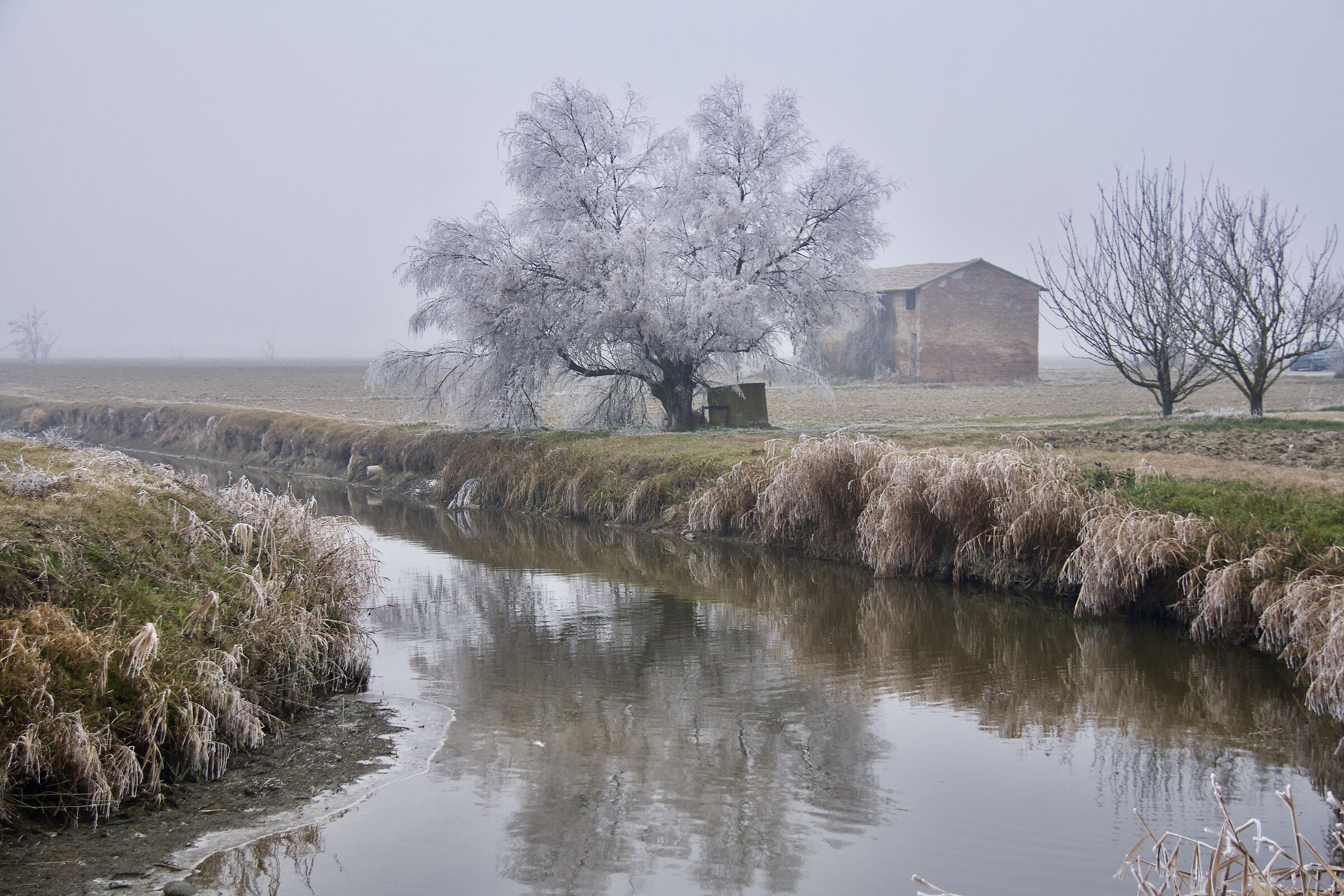 Bruma Padana -Matics