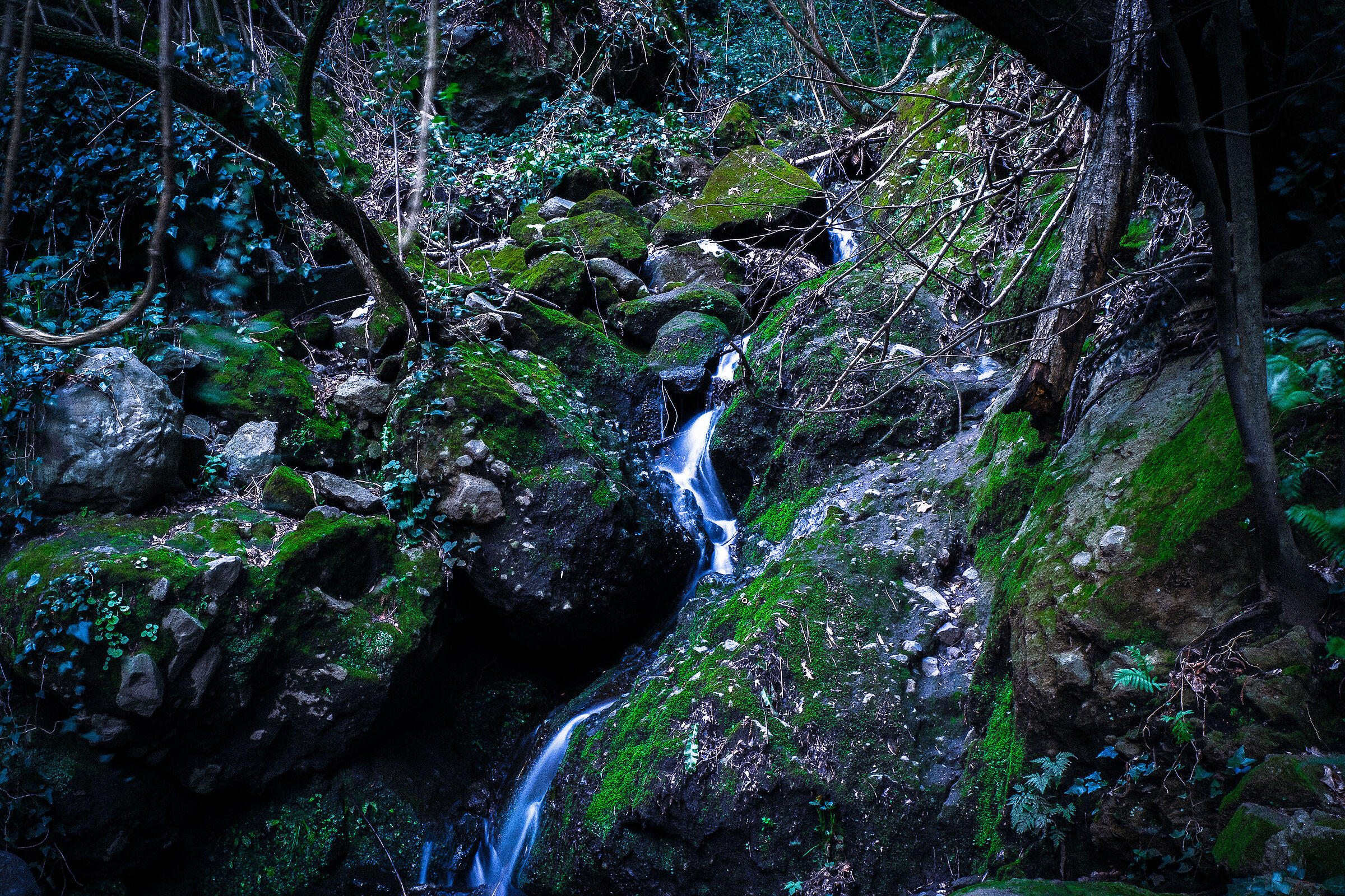 Water Passion