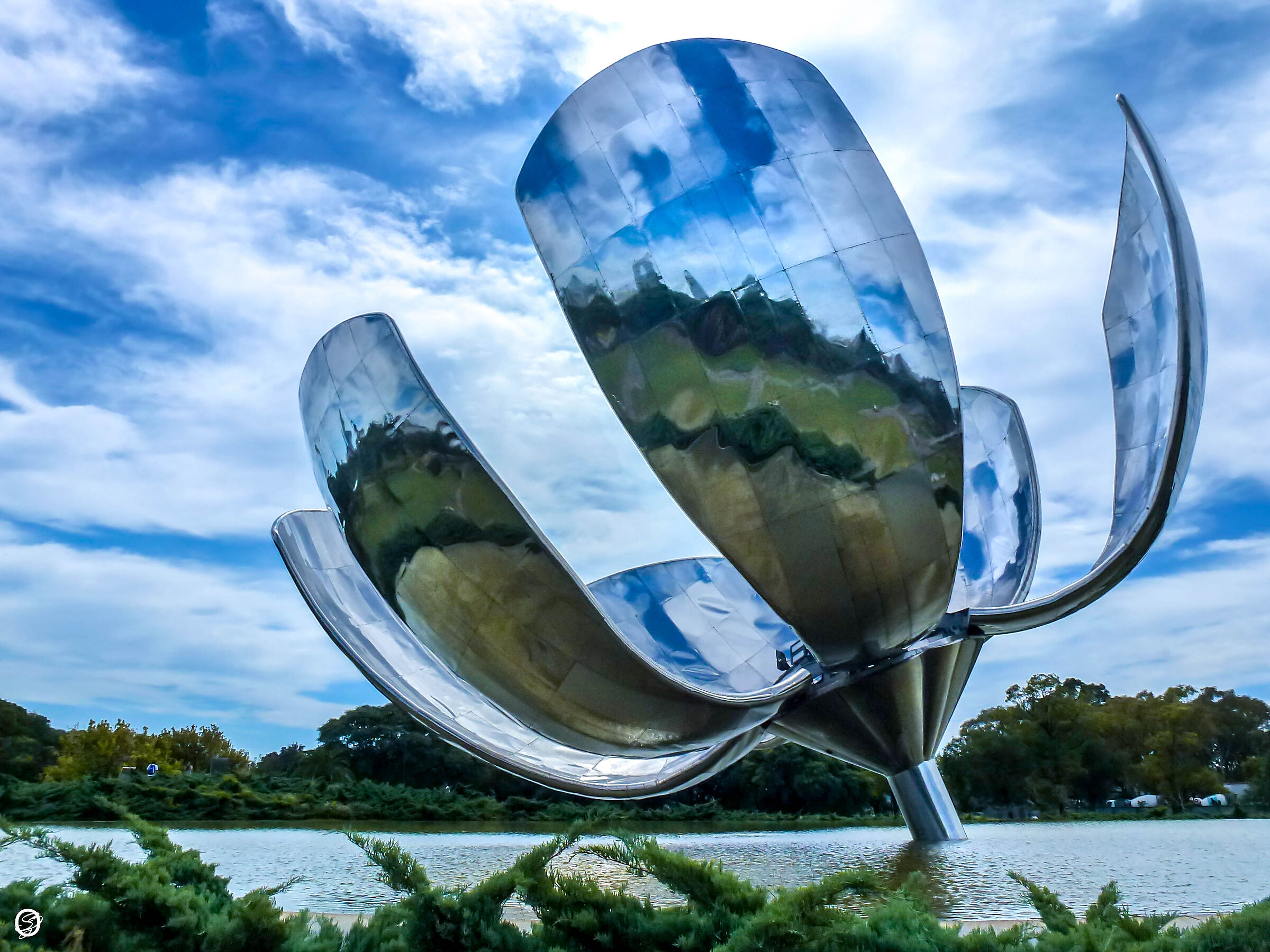 Il fiore meccanico- Buenos Aires