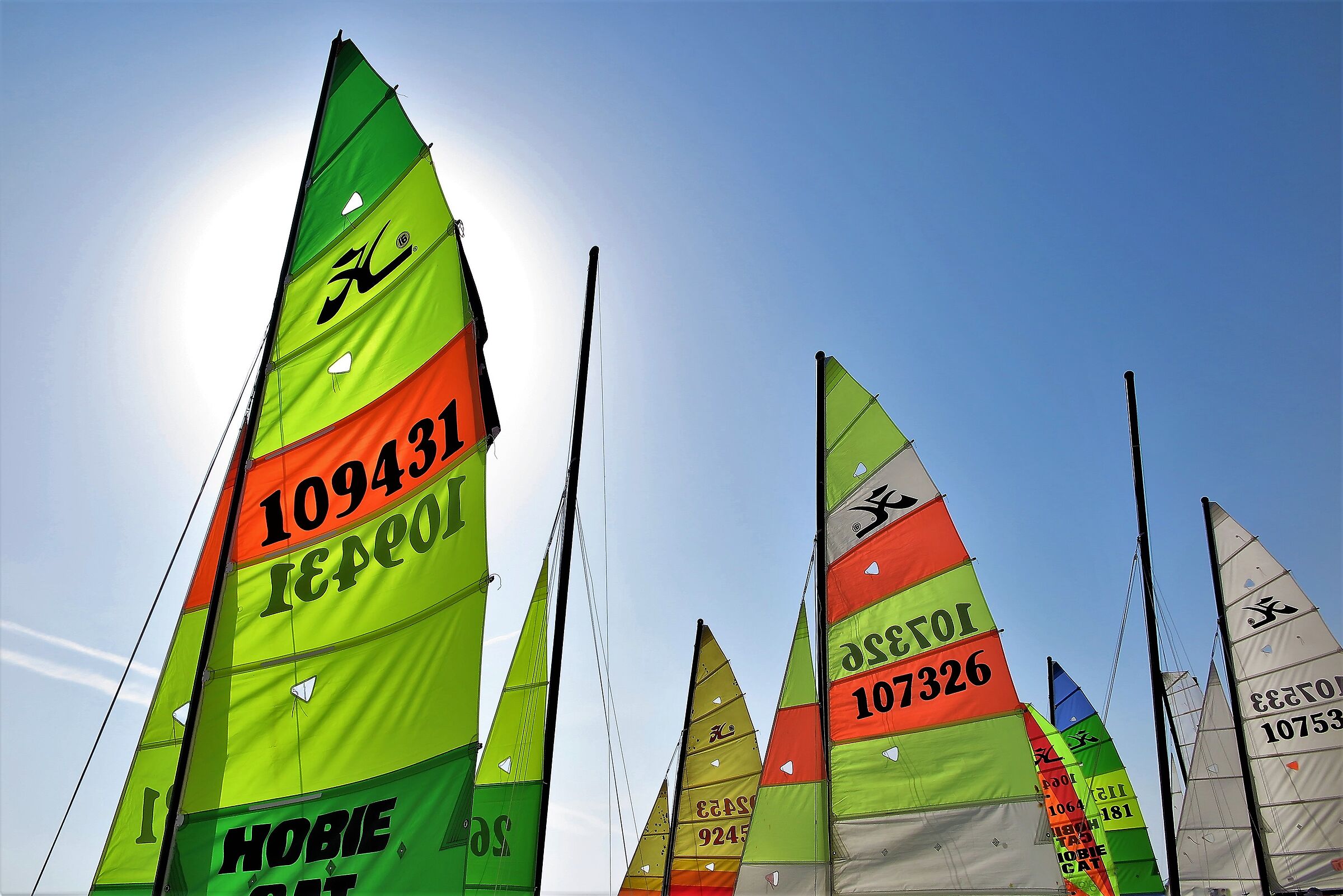 Sogno la bella stagione!