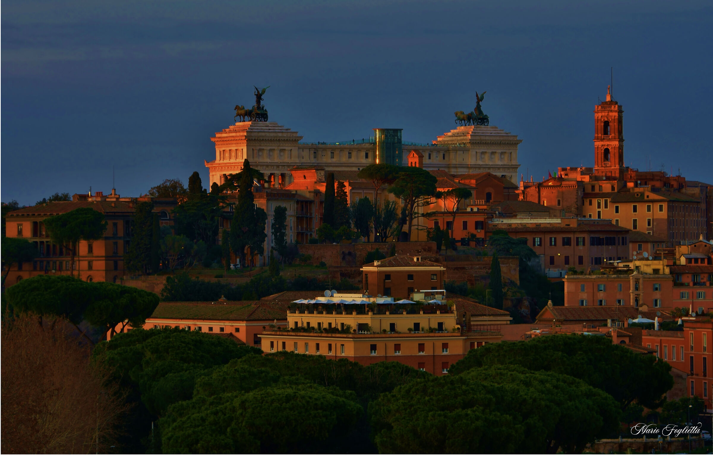 On the wings of a Seagull