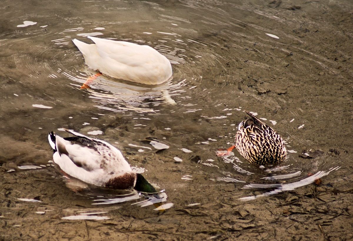 Hey look! There is one girl who wants to photograph us