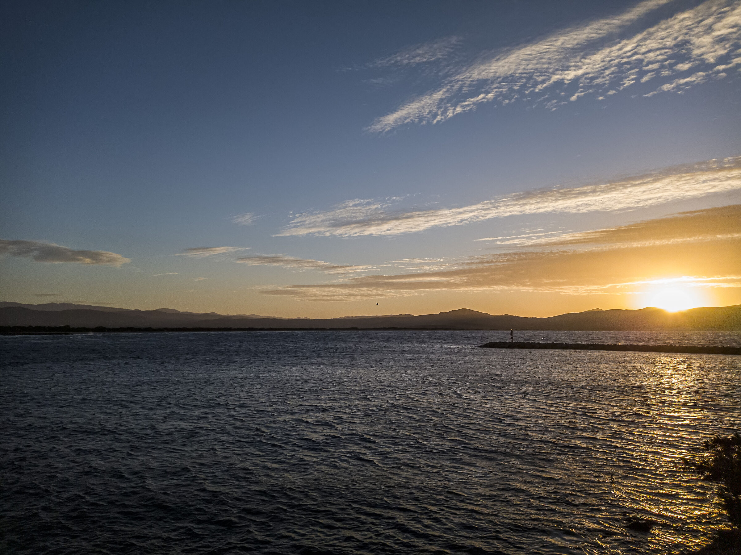 Beginning of the year