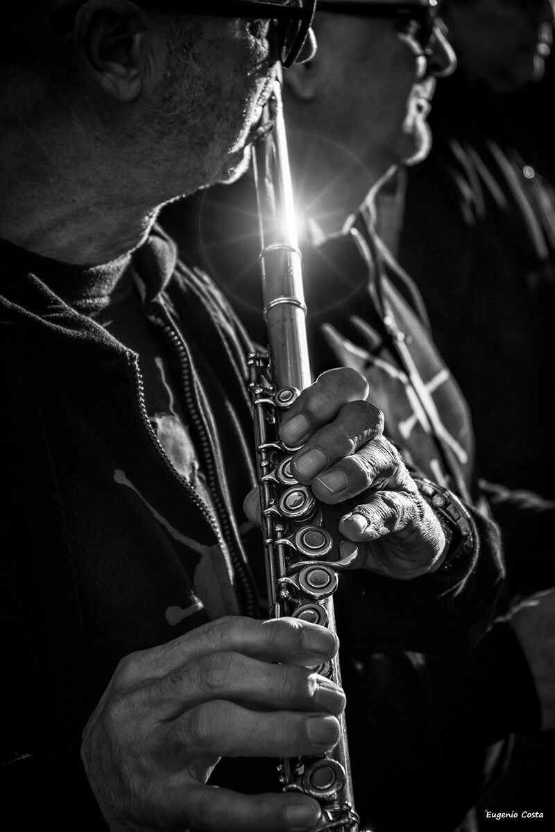 La musica è la stenografia dell'emozione