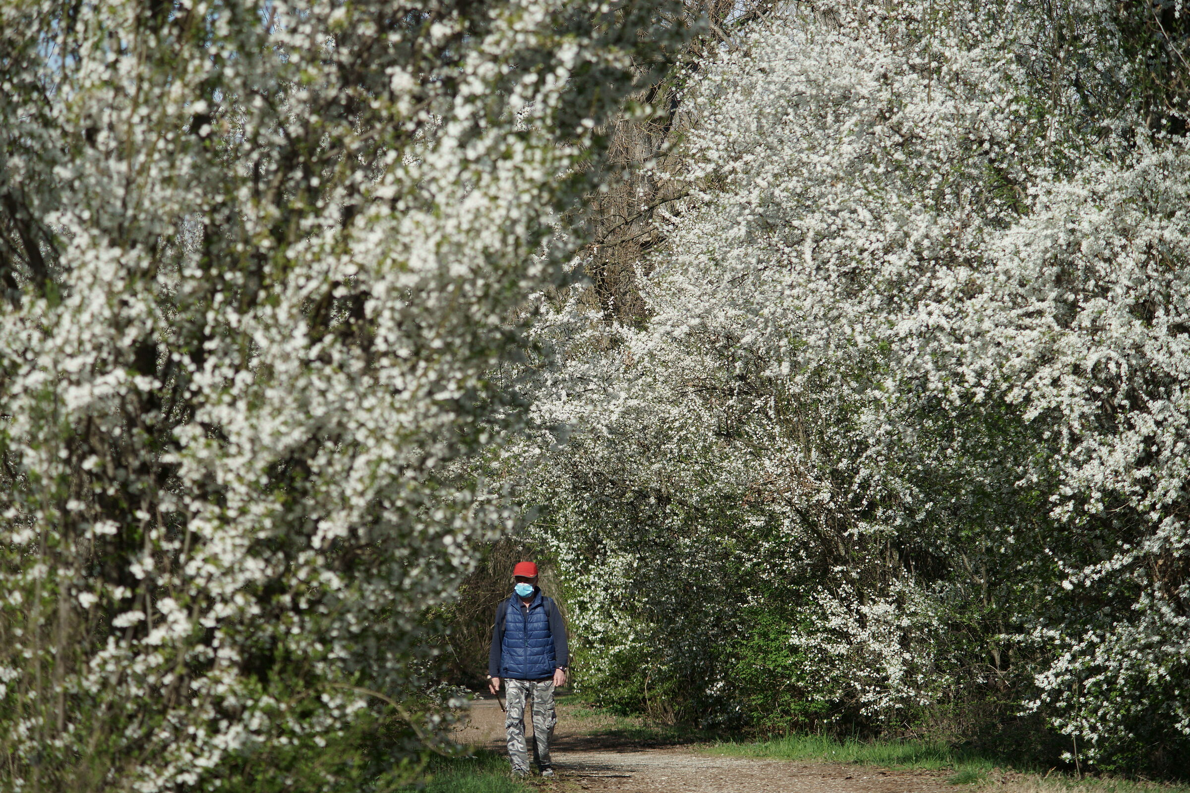 Due passi nel bianco.