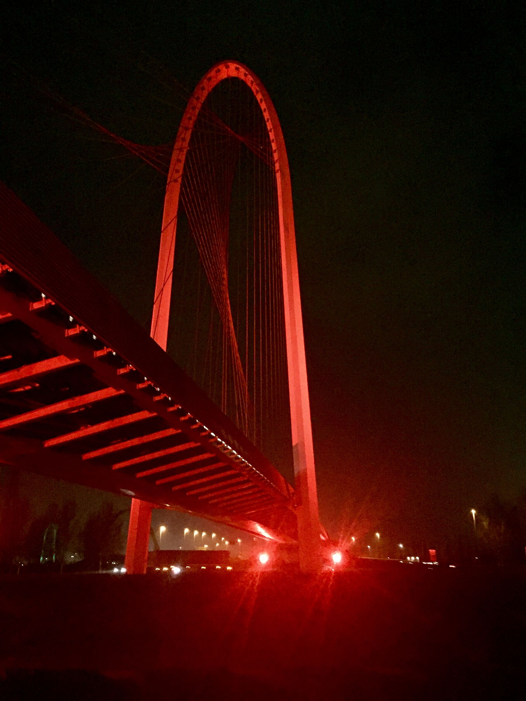 Calatrava Bridge