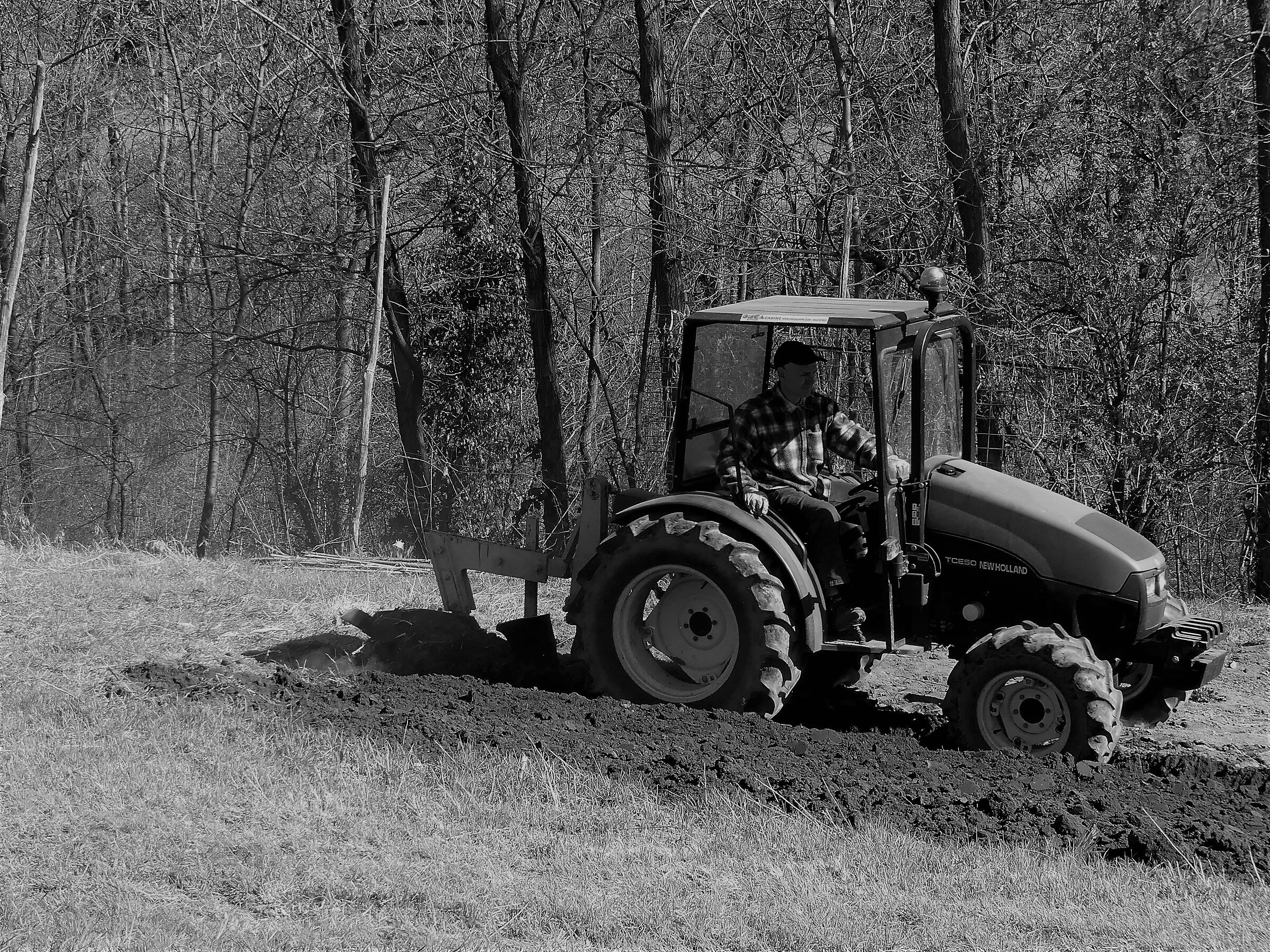 Il risveglio della terra