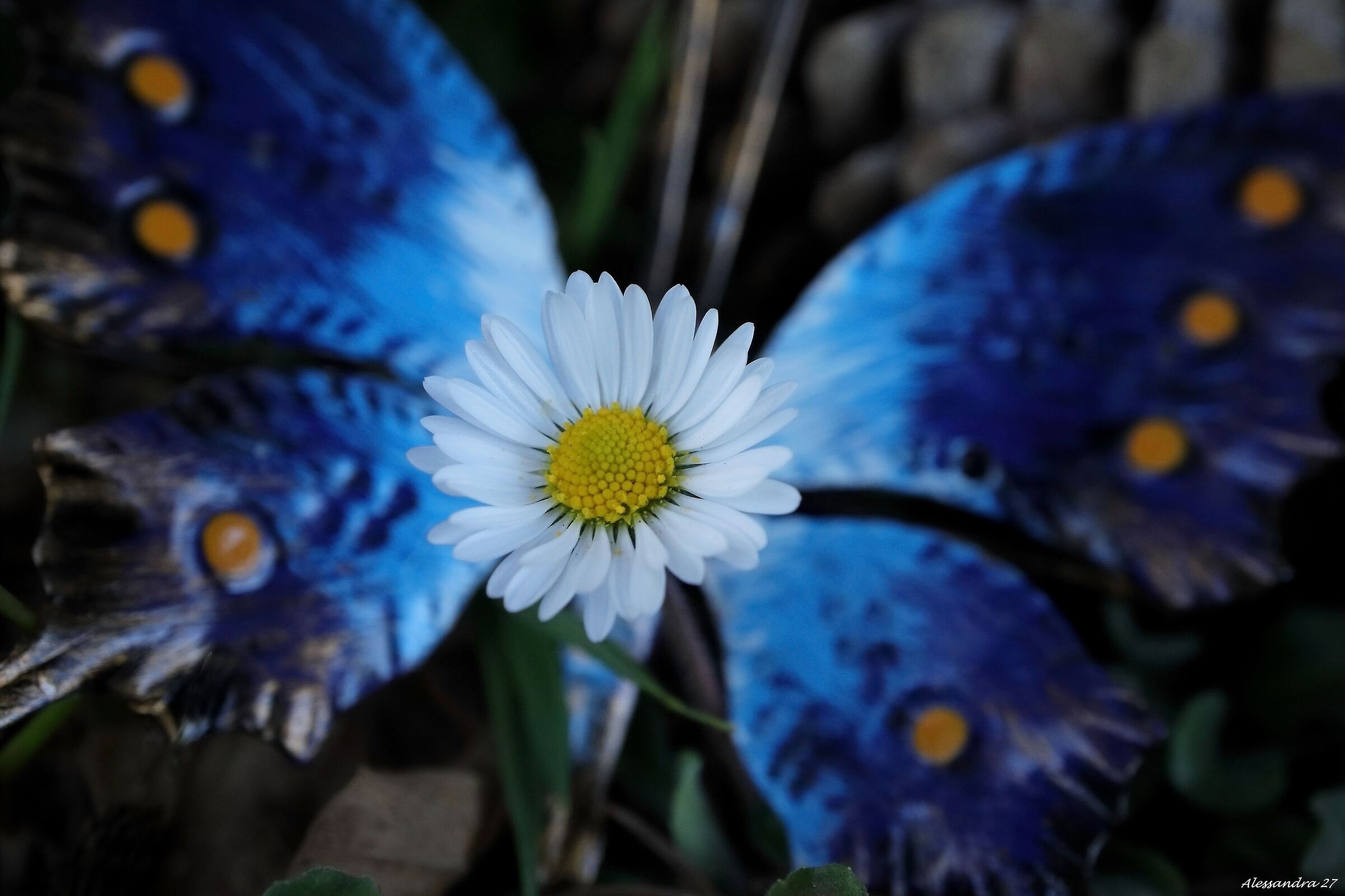 ... Primavera 2021 ... di piu' non si puo' ...