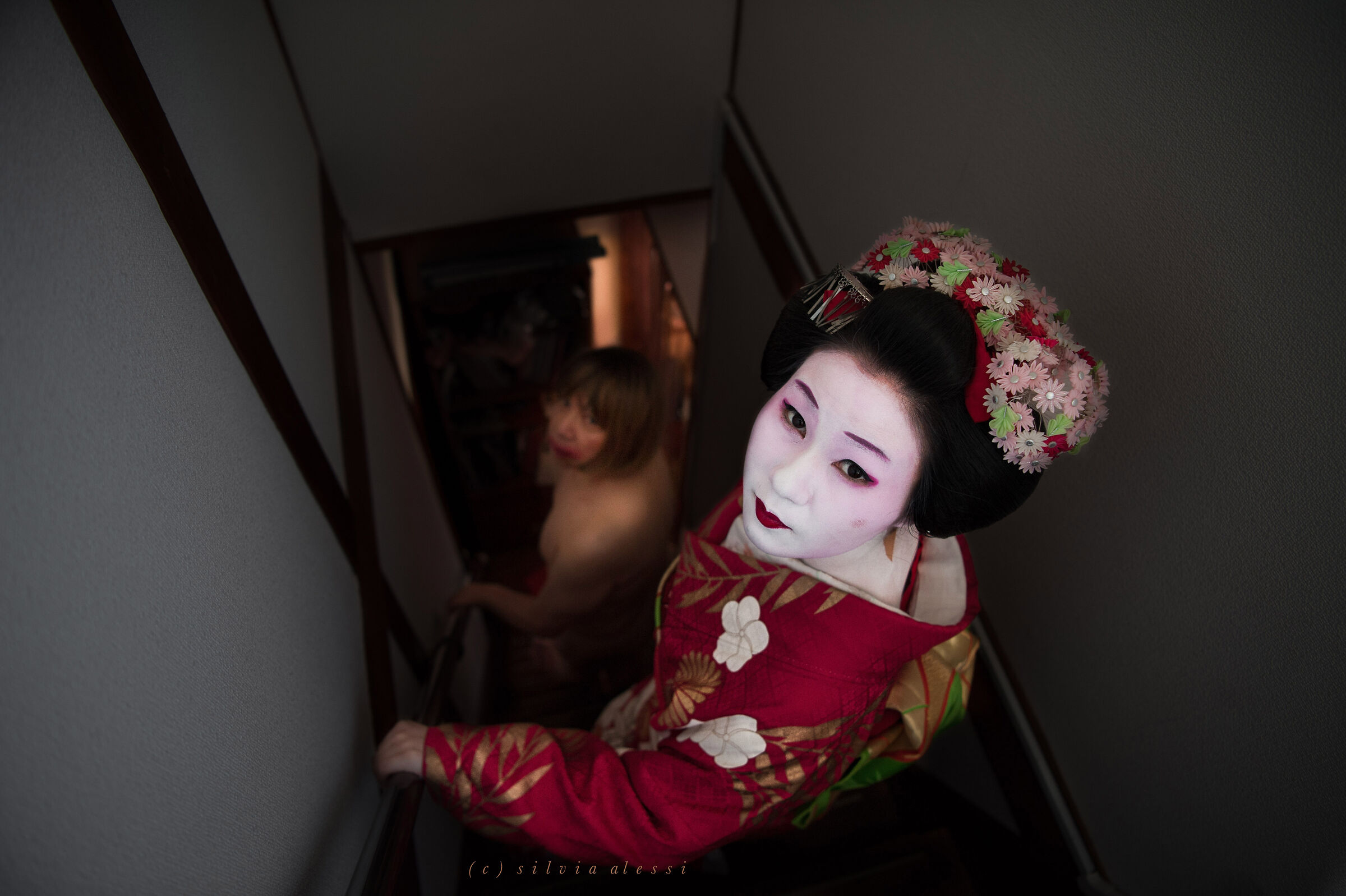 metamorfosi e follia