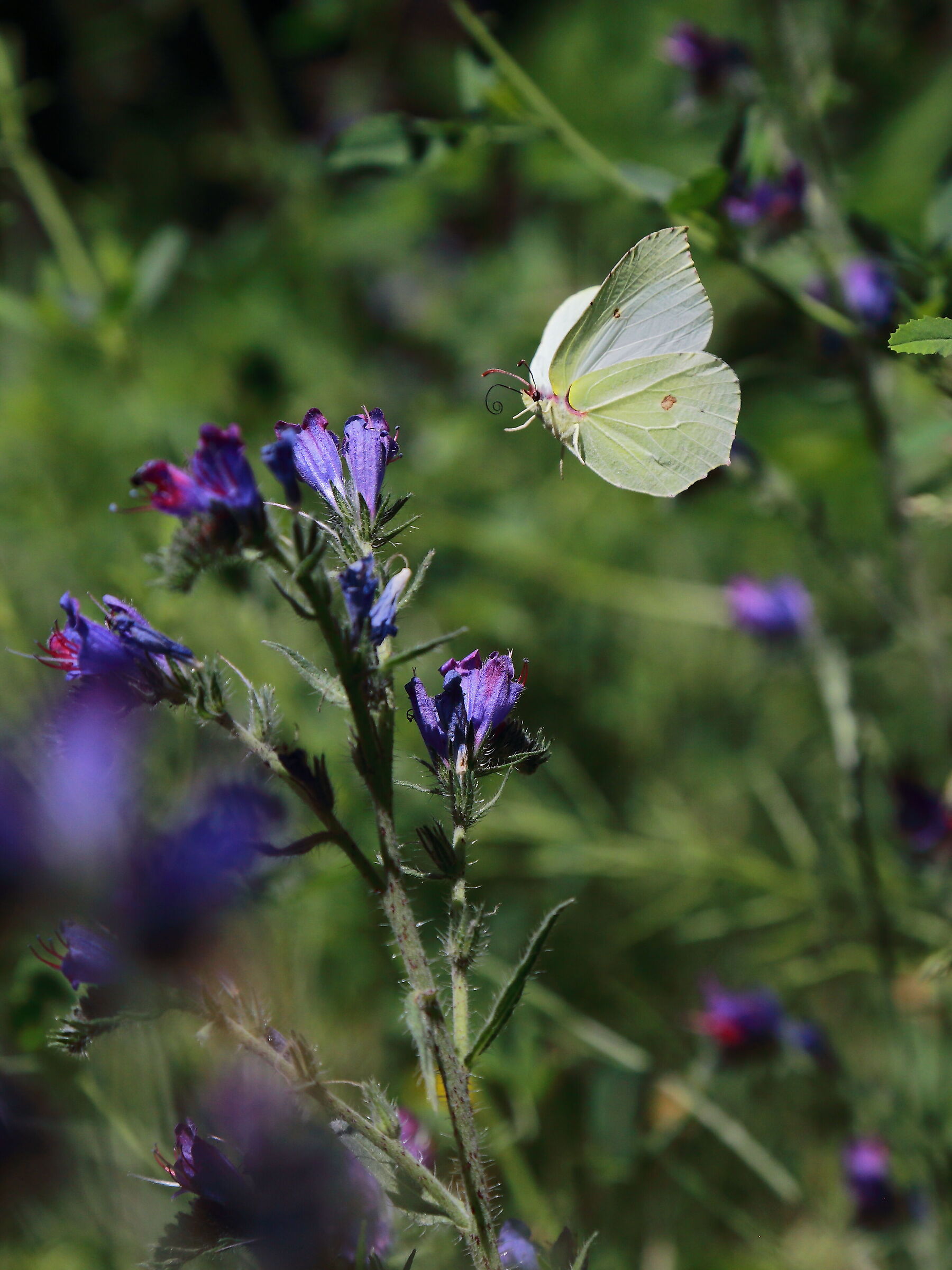 20/03/2021 at 10.37 am is spring!!
