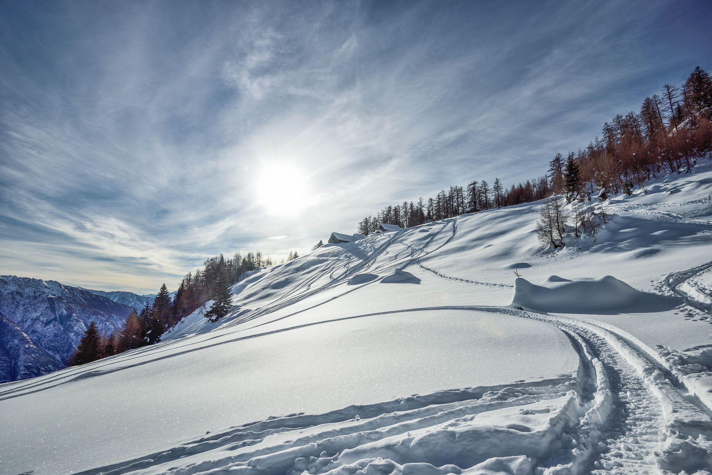 lungo la ripida salita verso l'Alpe Deccia superiore