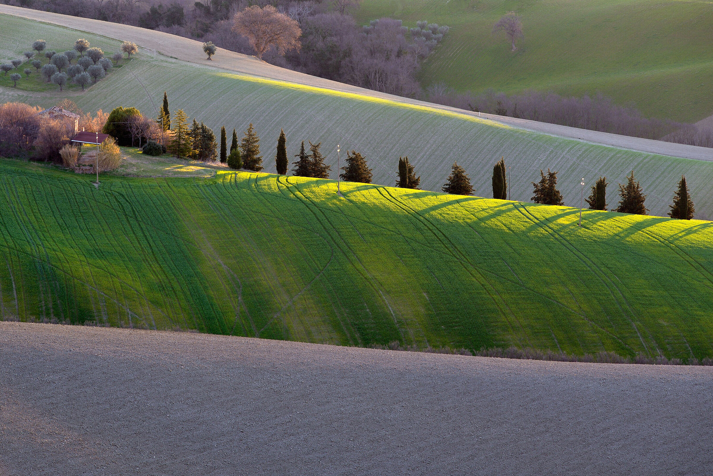 Campagna marchigiana
