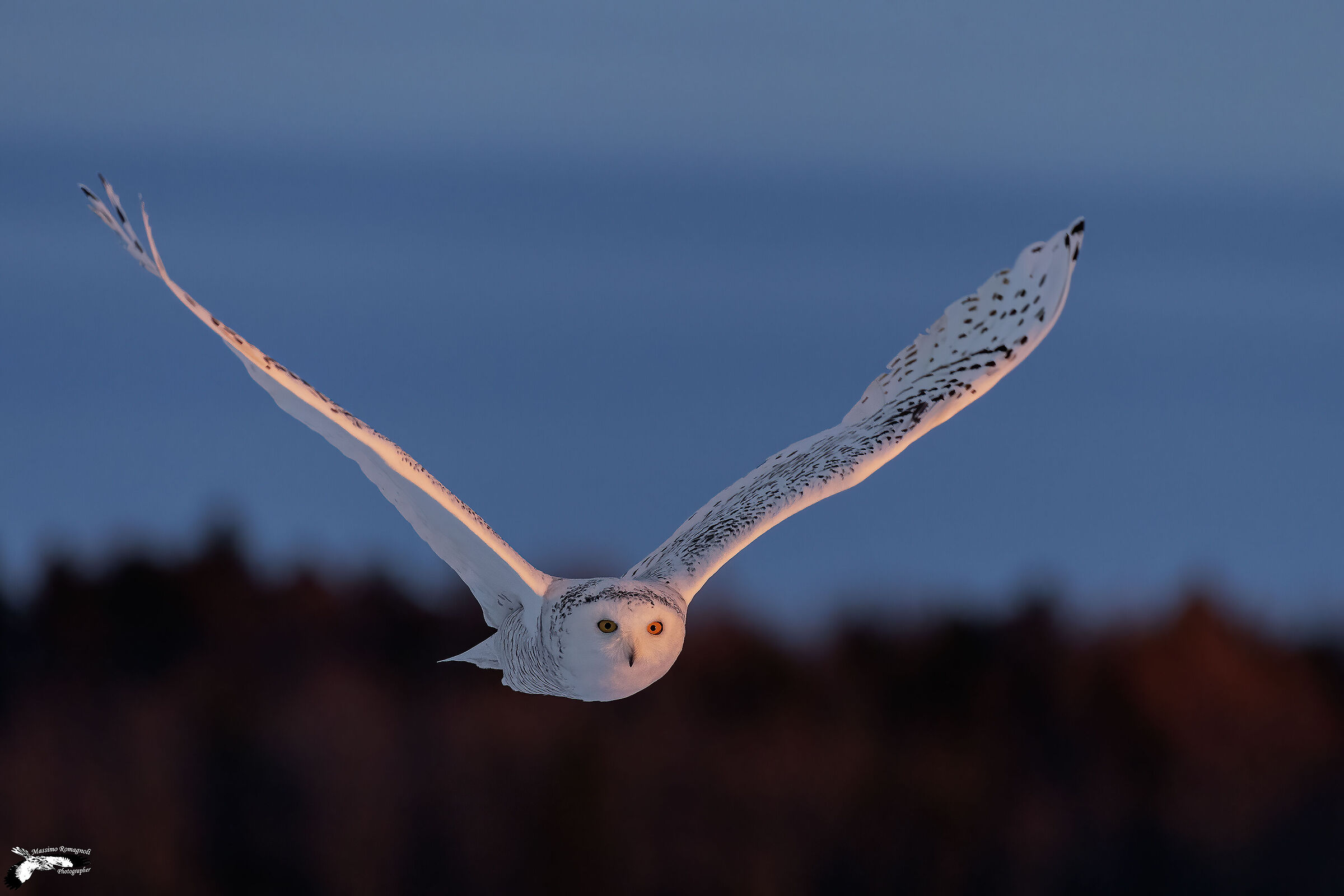 In volo con le ultime luci