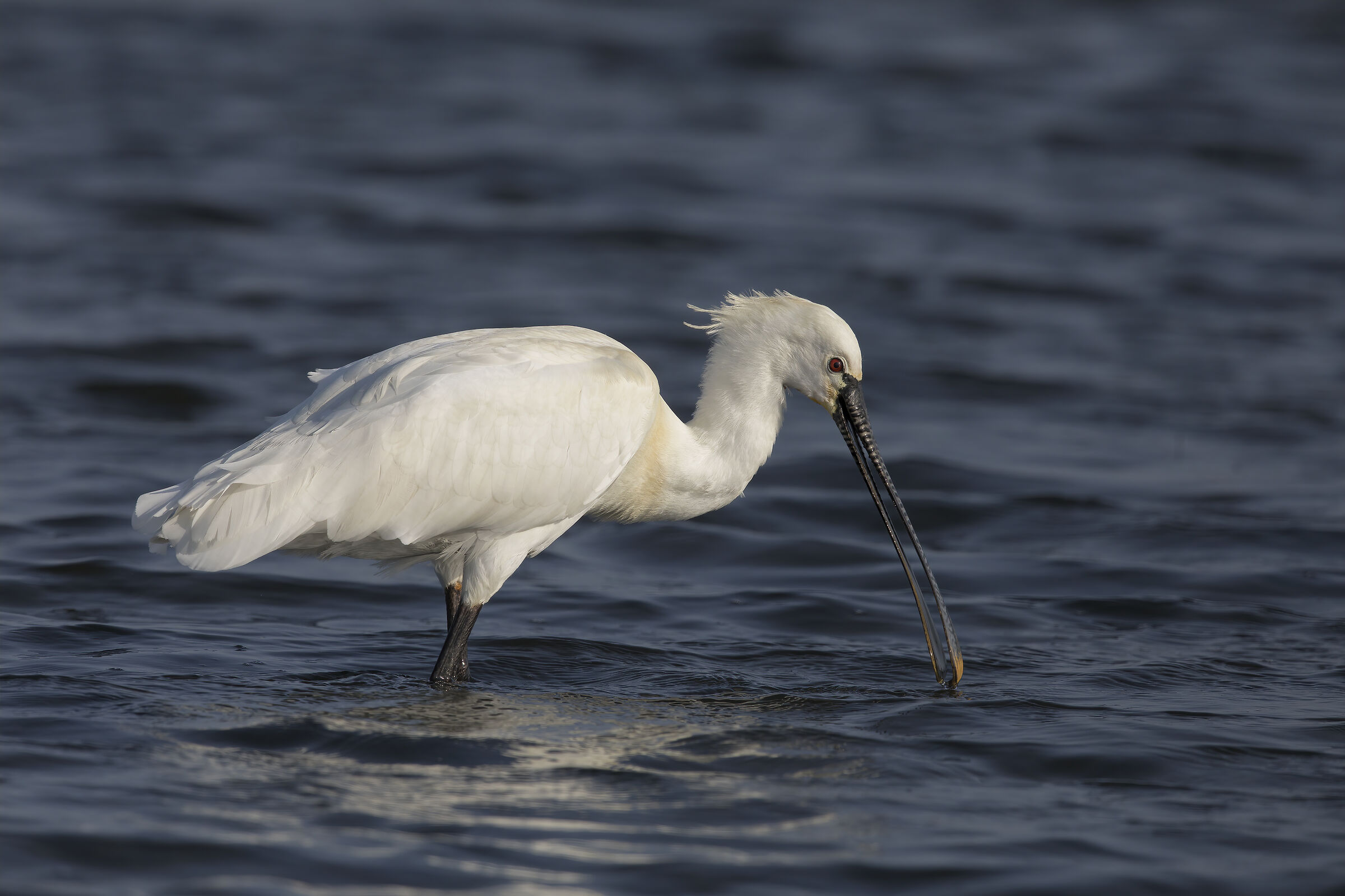 cr superesolution test