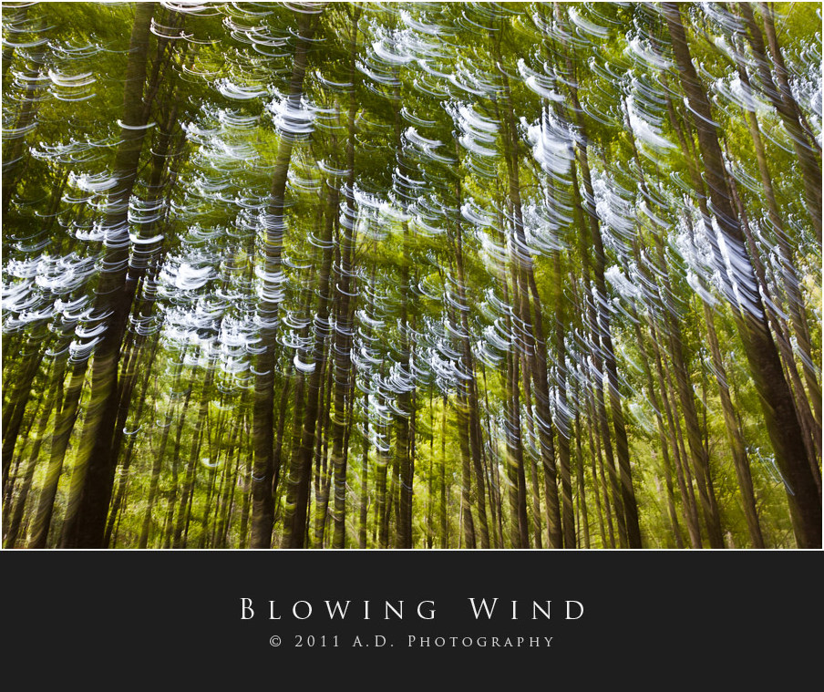 Blowing Wind