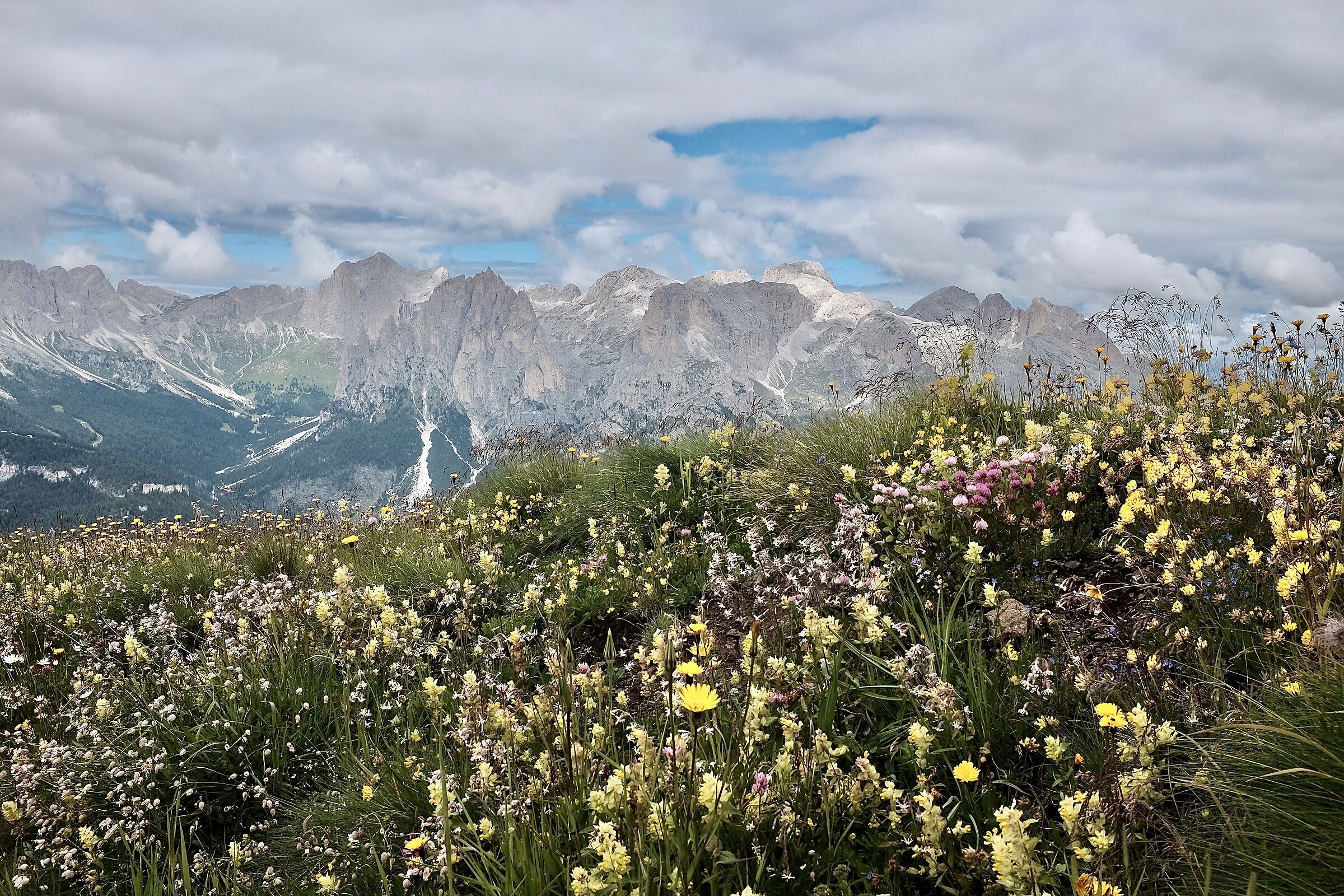 Dolomiti