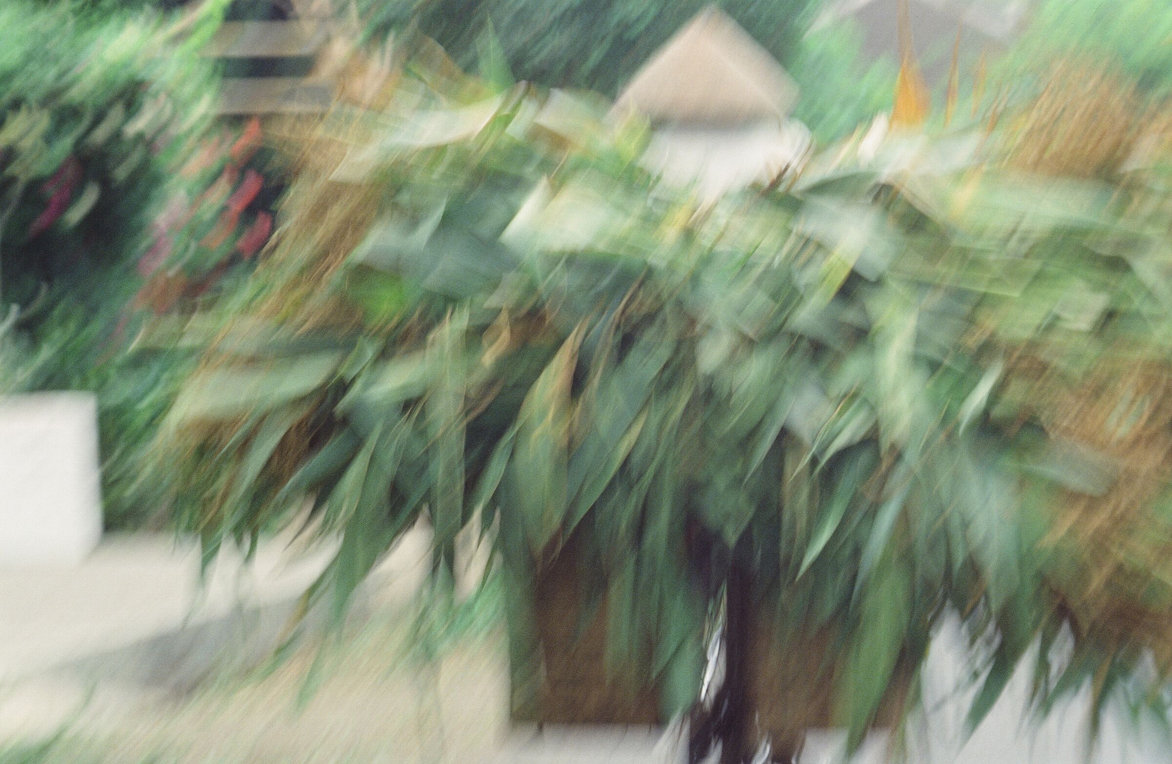 Indonesia 1985 old slide