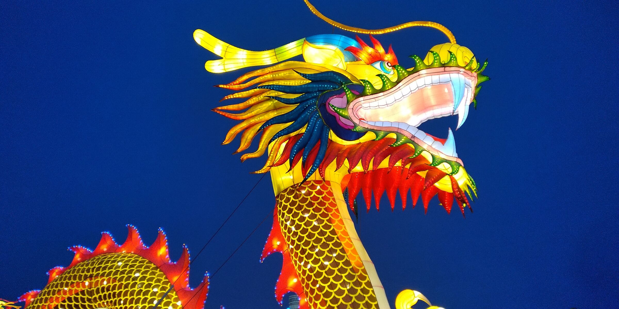 Dalla Cina a Bologna...