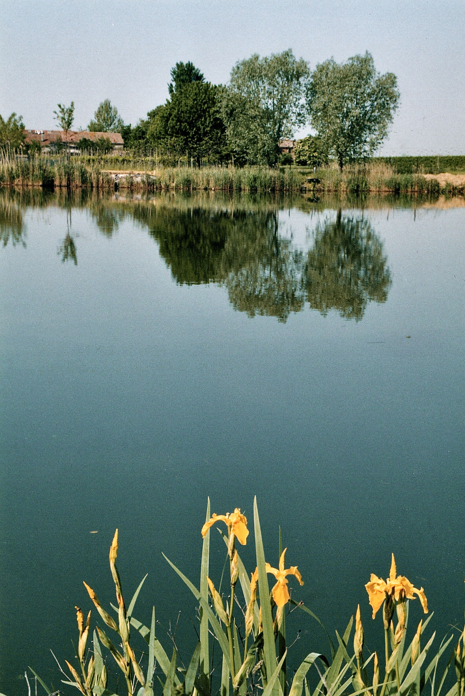 Po di Volano at Sabbioncello S. Vittore