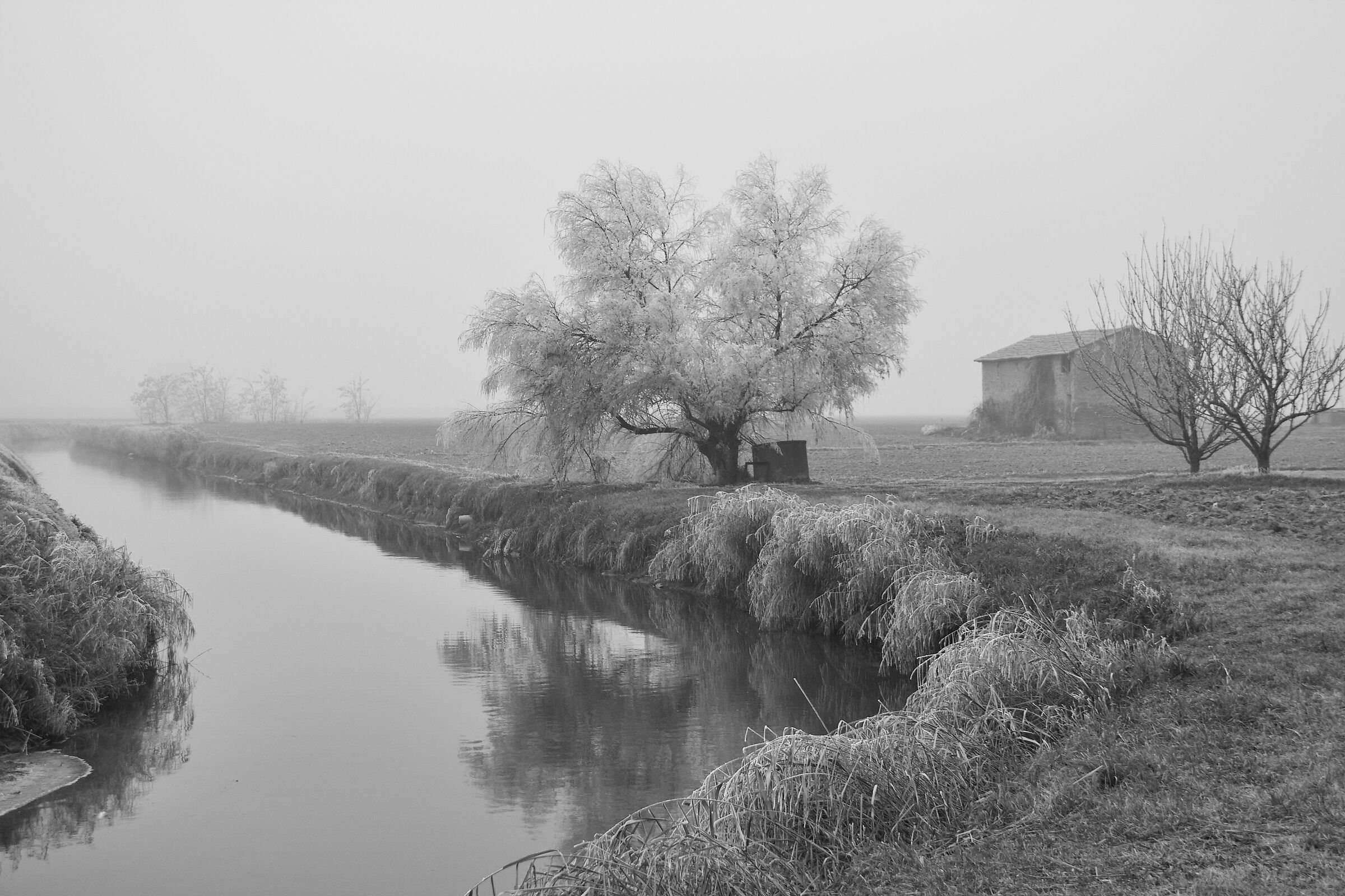winter in the Ferrara countryside