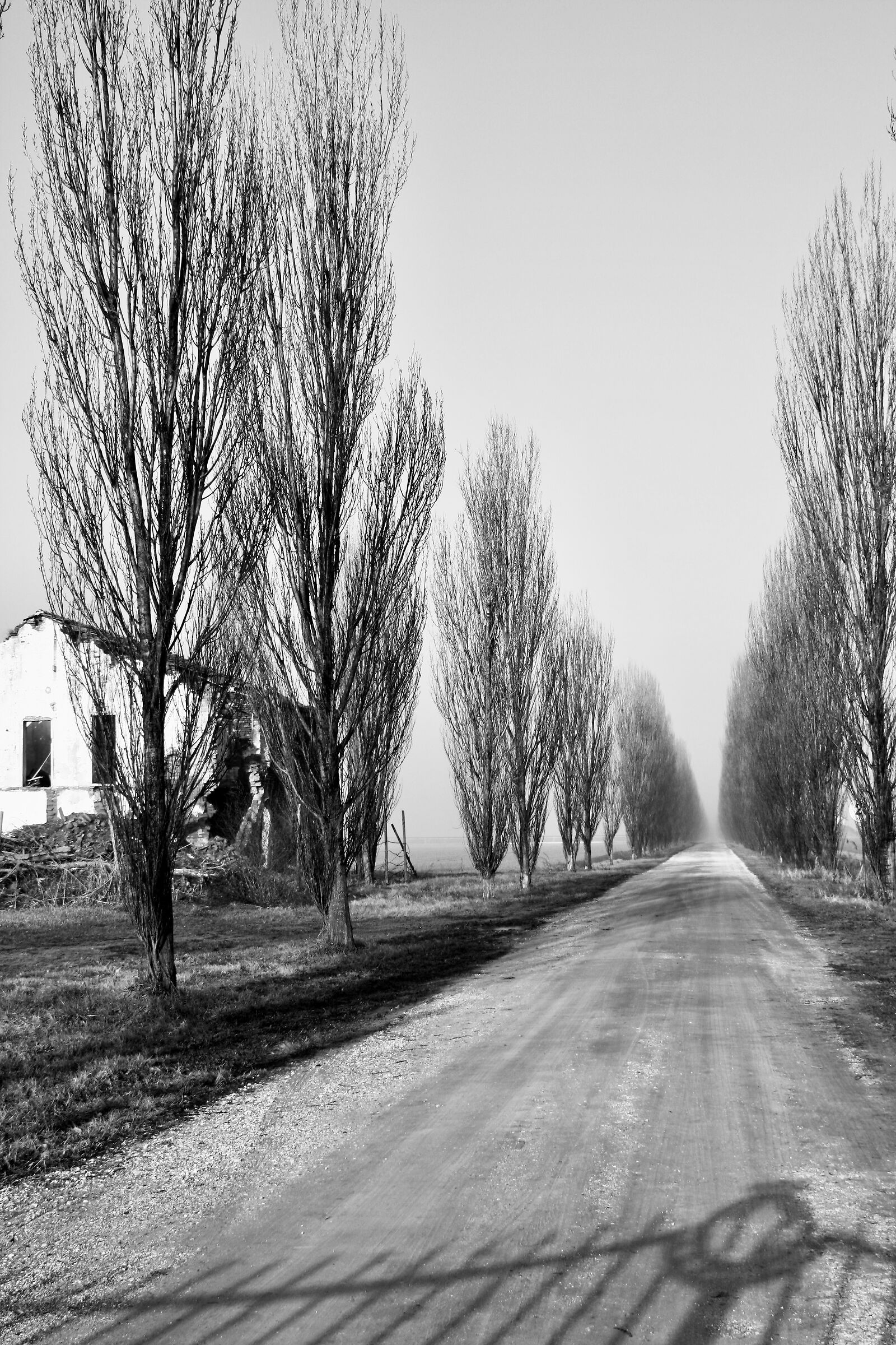 Towards Zenzalino (FE) where Varenne was raised