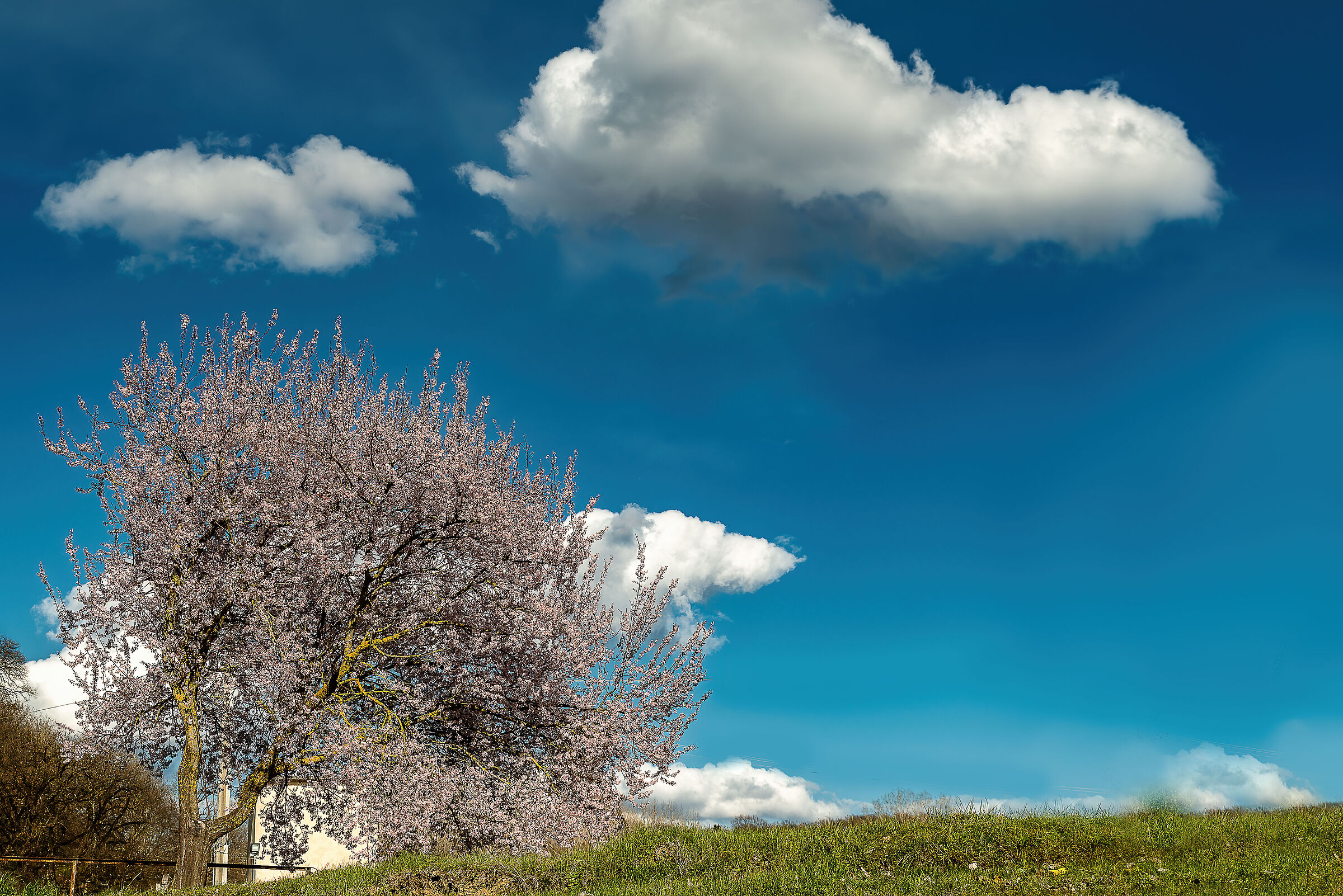 nel mio comune nella frazione