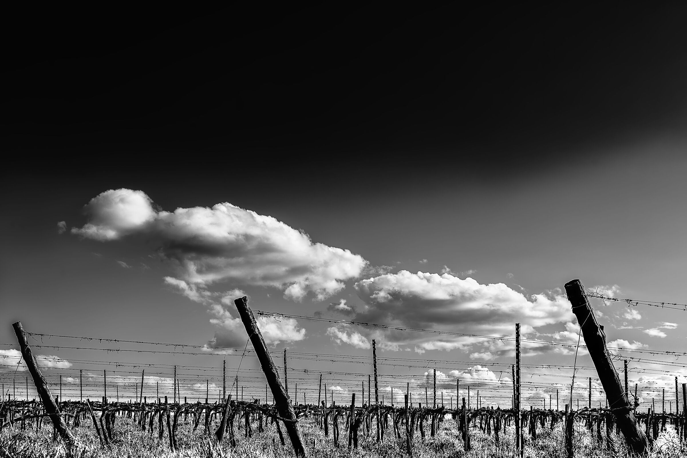 Southern Valdichian landscape