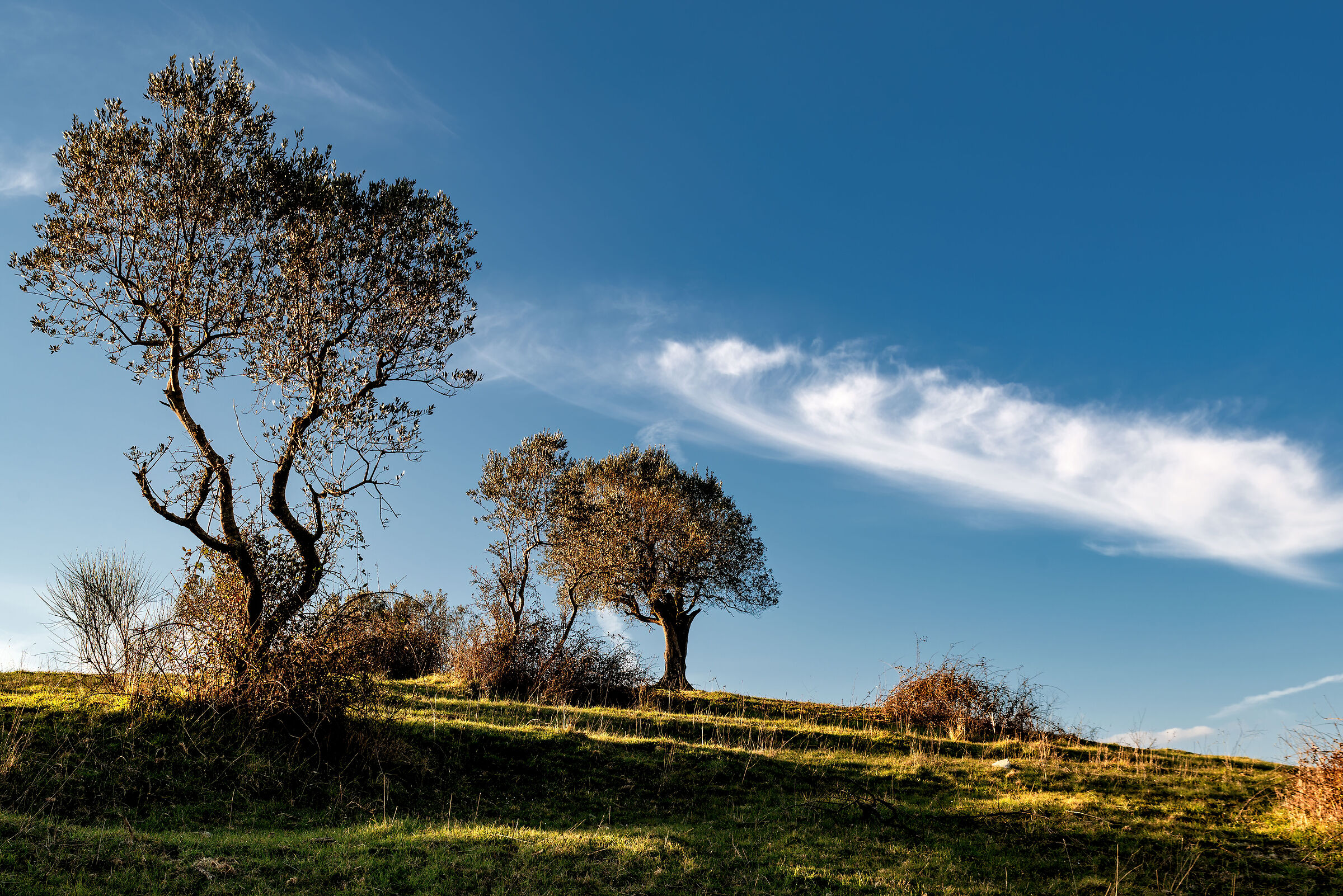 Southern Valdichian landscape
