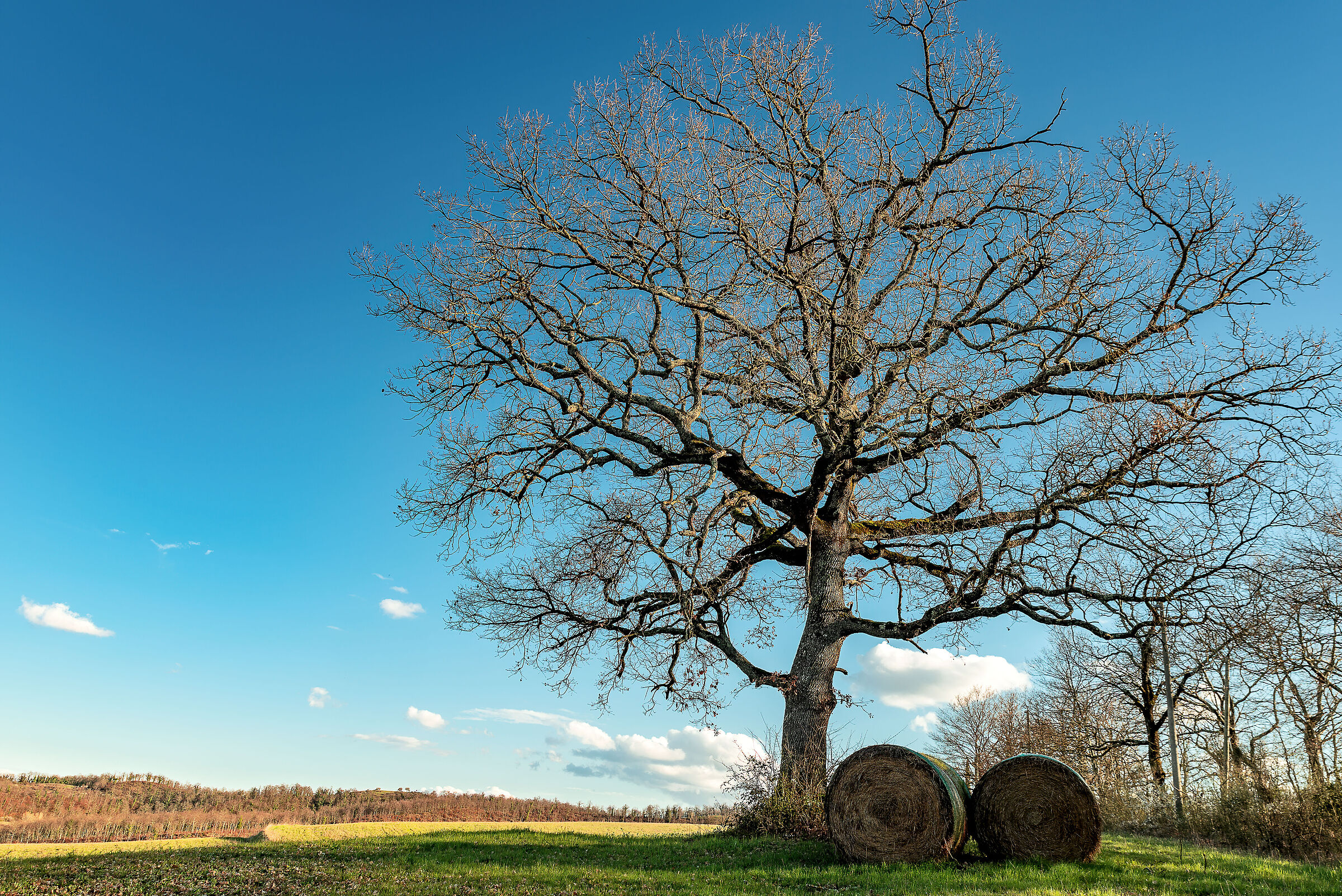 Southern Valdichian landscape