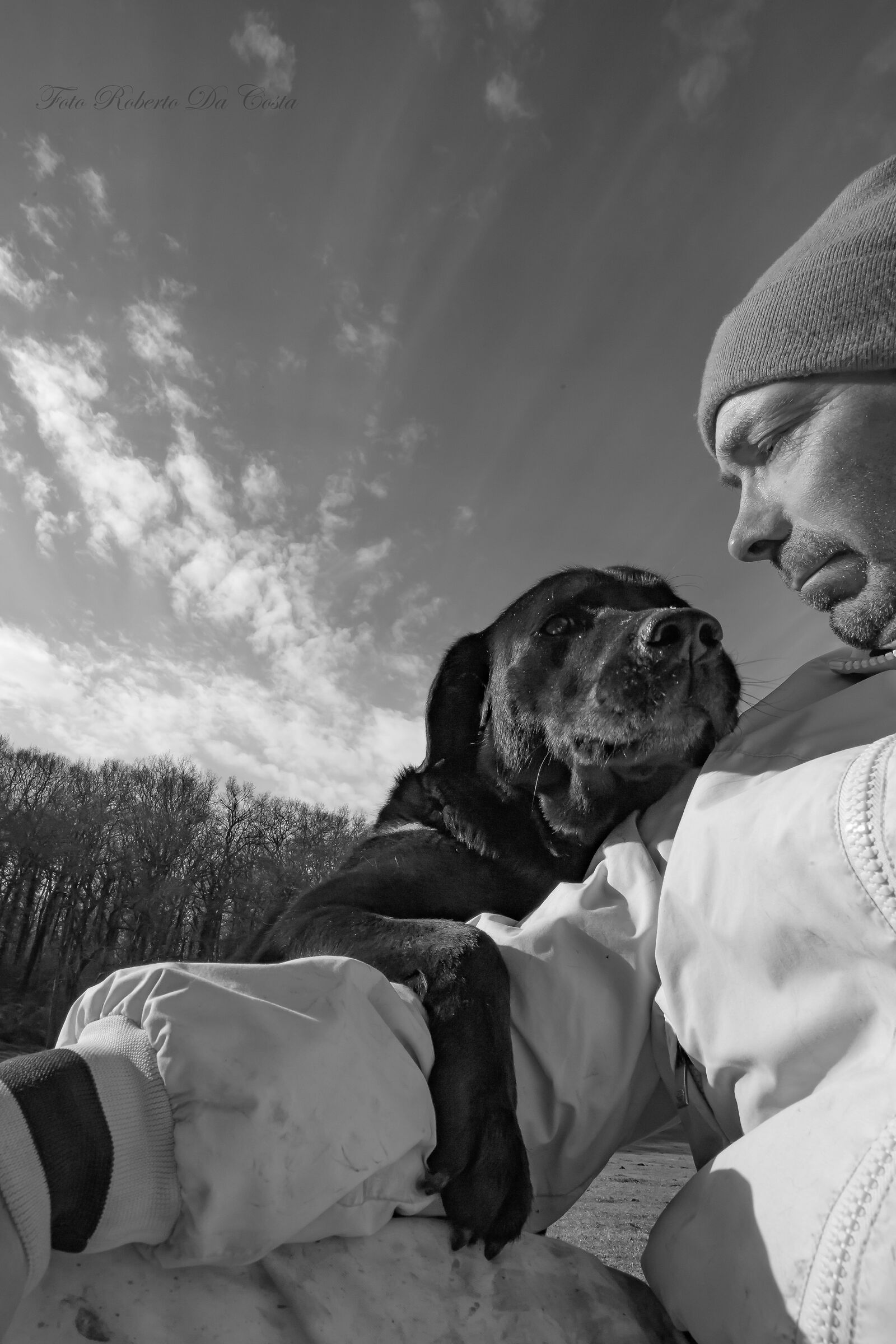 Labrador CamillaMy Love